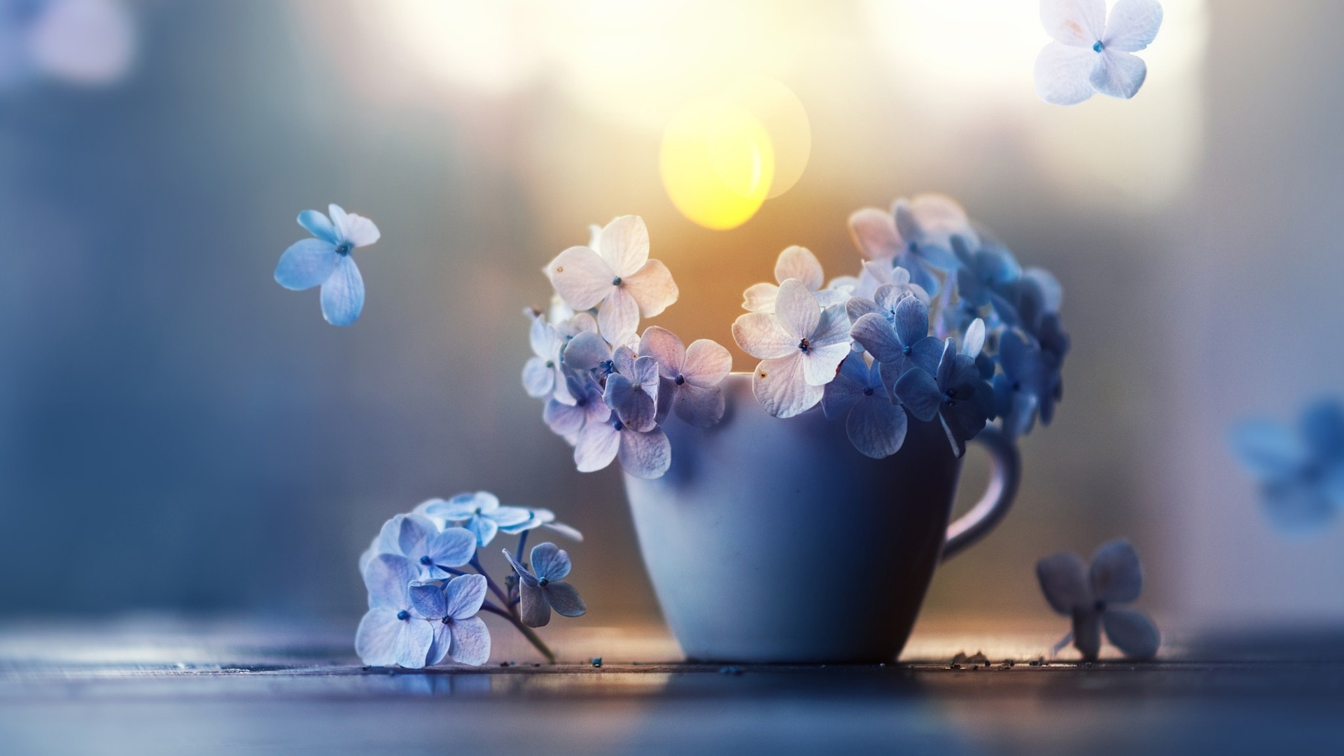 , , , , ashraful arefin