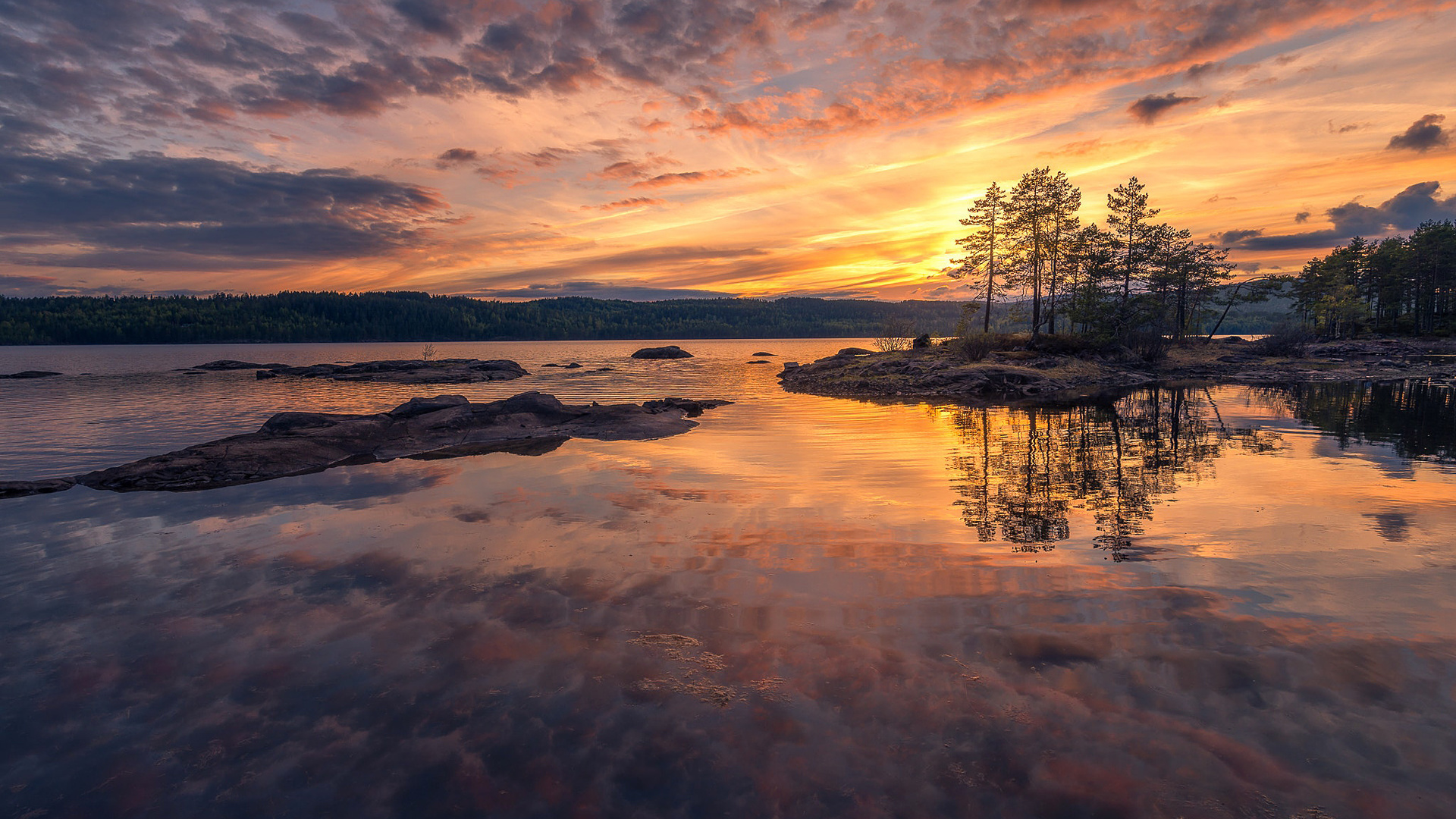 , , , ole henrik skjelstad, , , , 