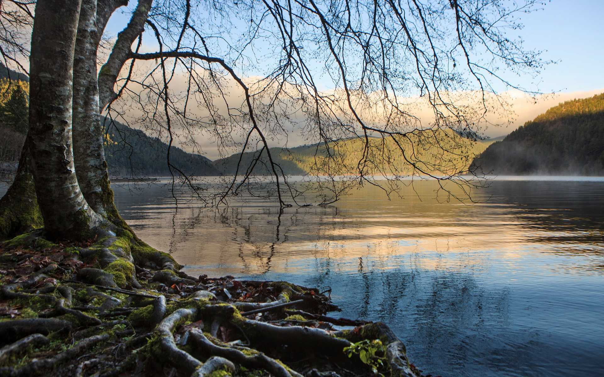 , , olympic national park, , , , , , 