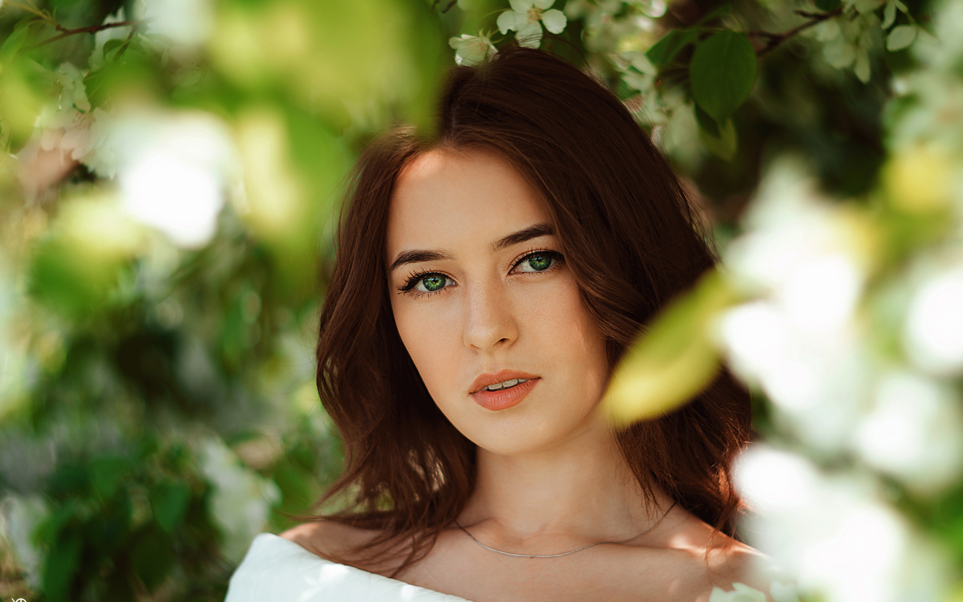 women, face, portrait, depth of field, green eyes, , , , , ,  