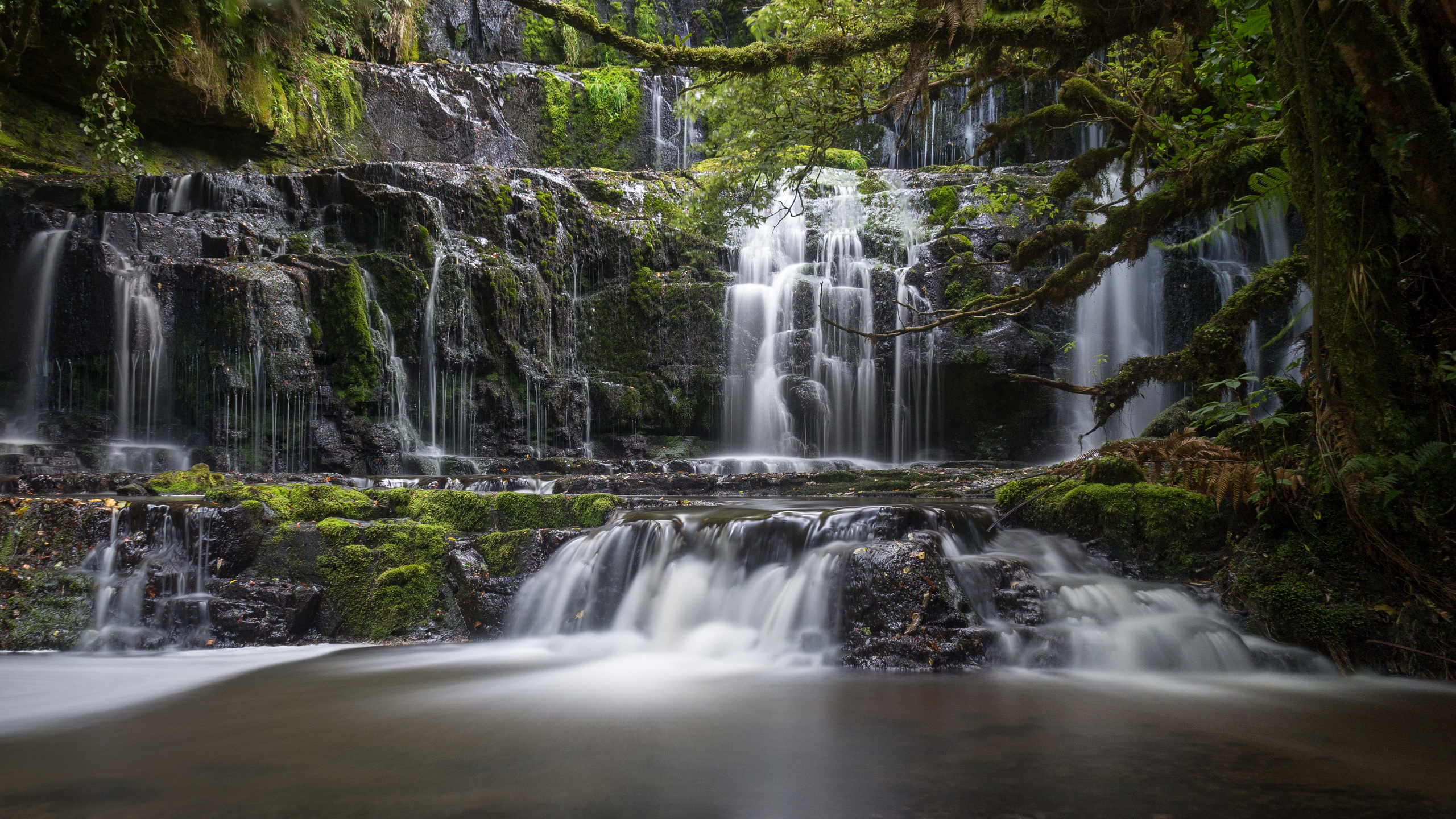 ,  , , purakaunui falls, , 