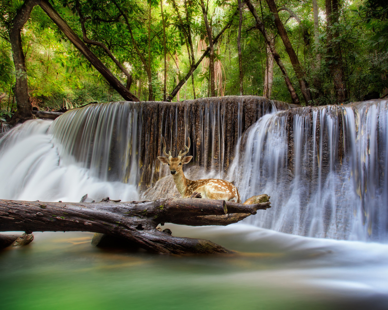 , thailand, ,  , , , erawan, , , , , 