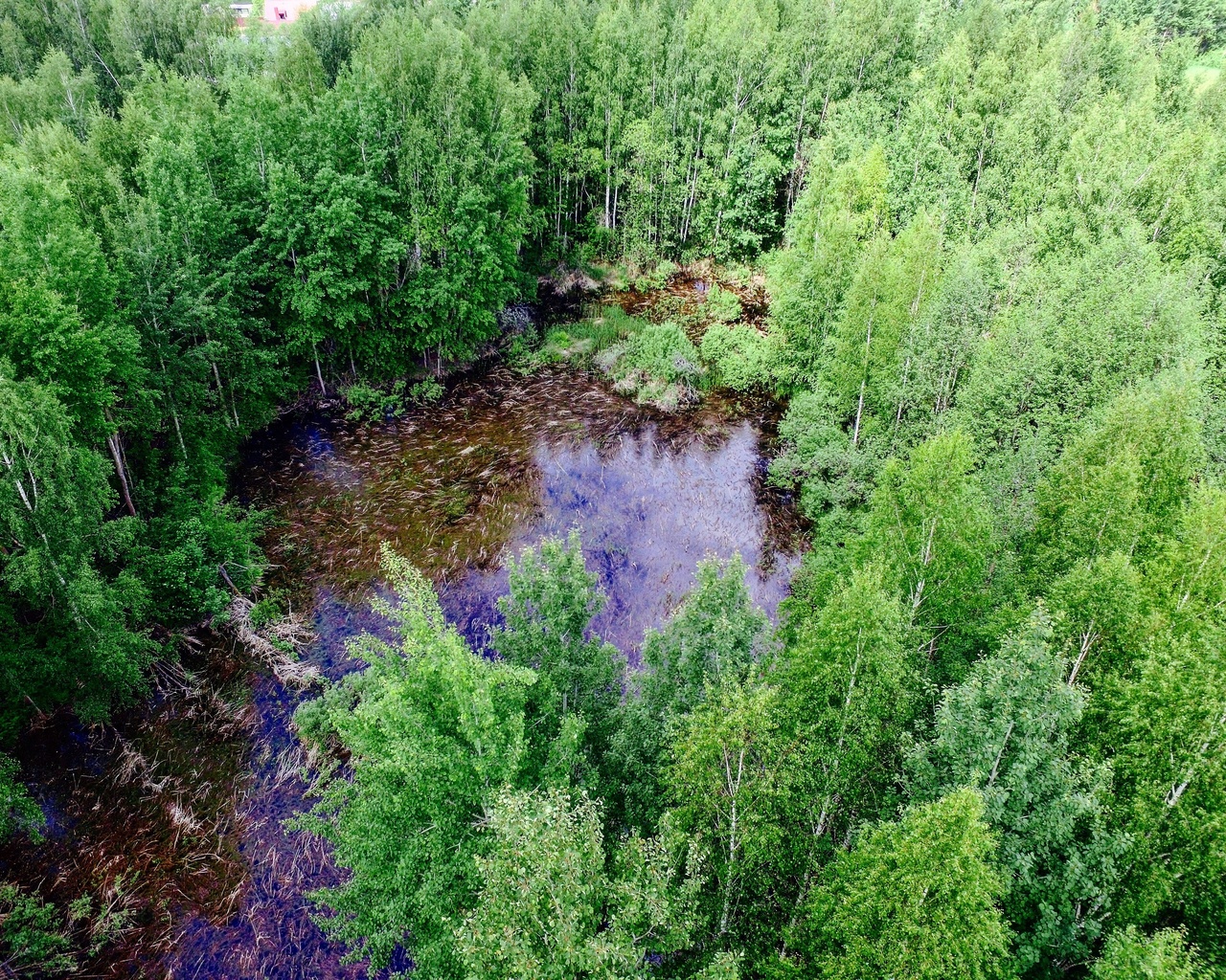 aristovart, , landscape, nature, lake, 