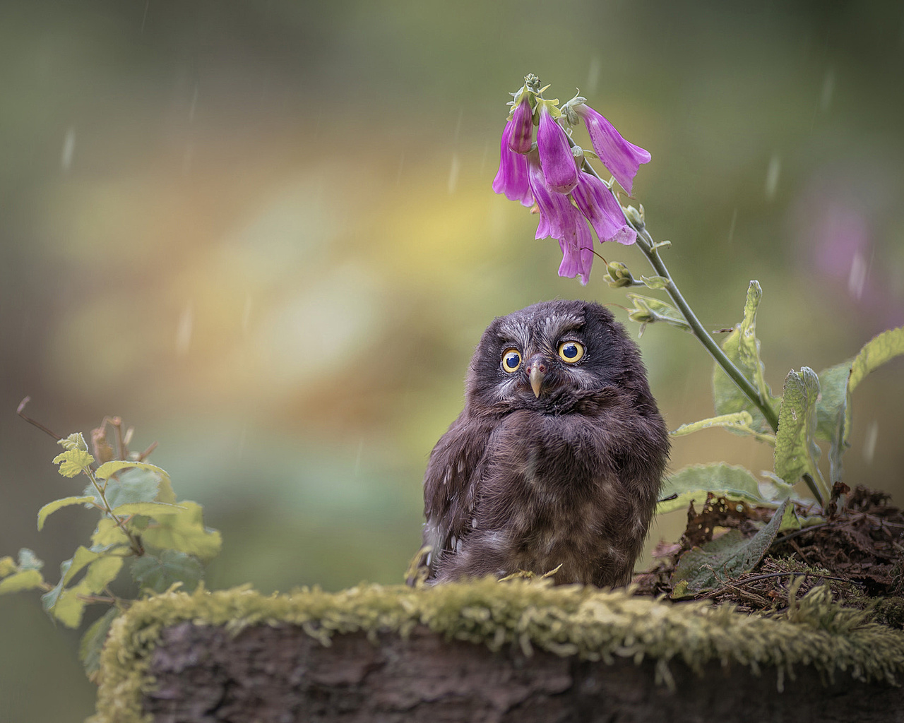 , , , , ,  , , , tanja brandt