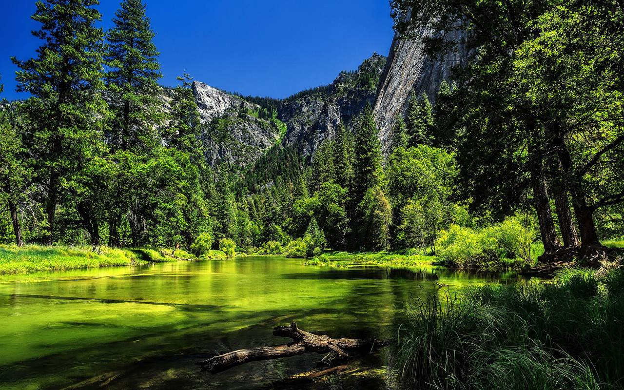 yosemite national park,  , , , 