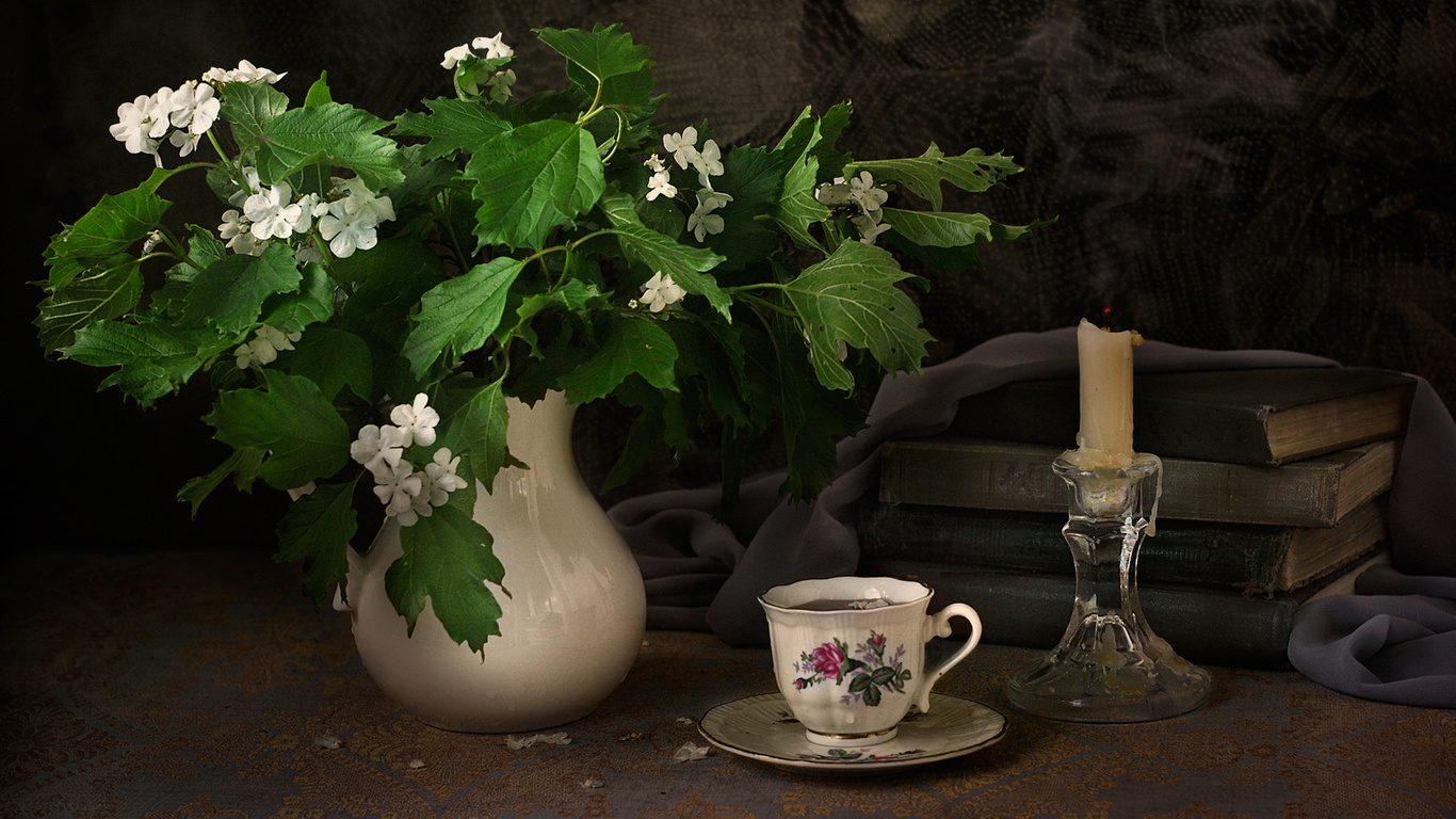 elena pankova, , still life, , , , , , , 