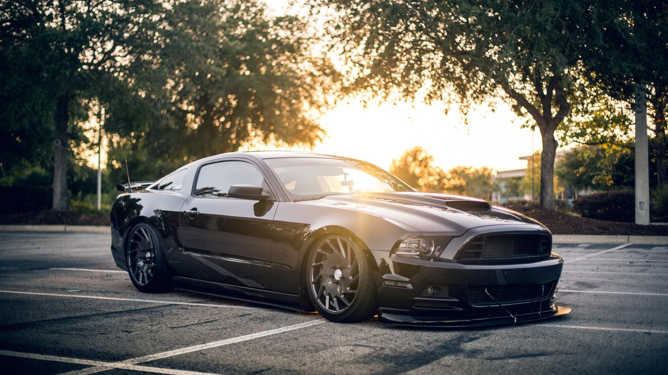 ford, mustang, shelby, black