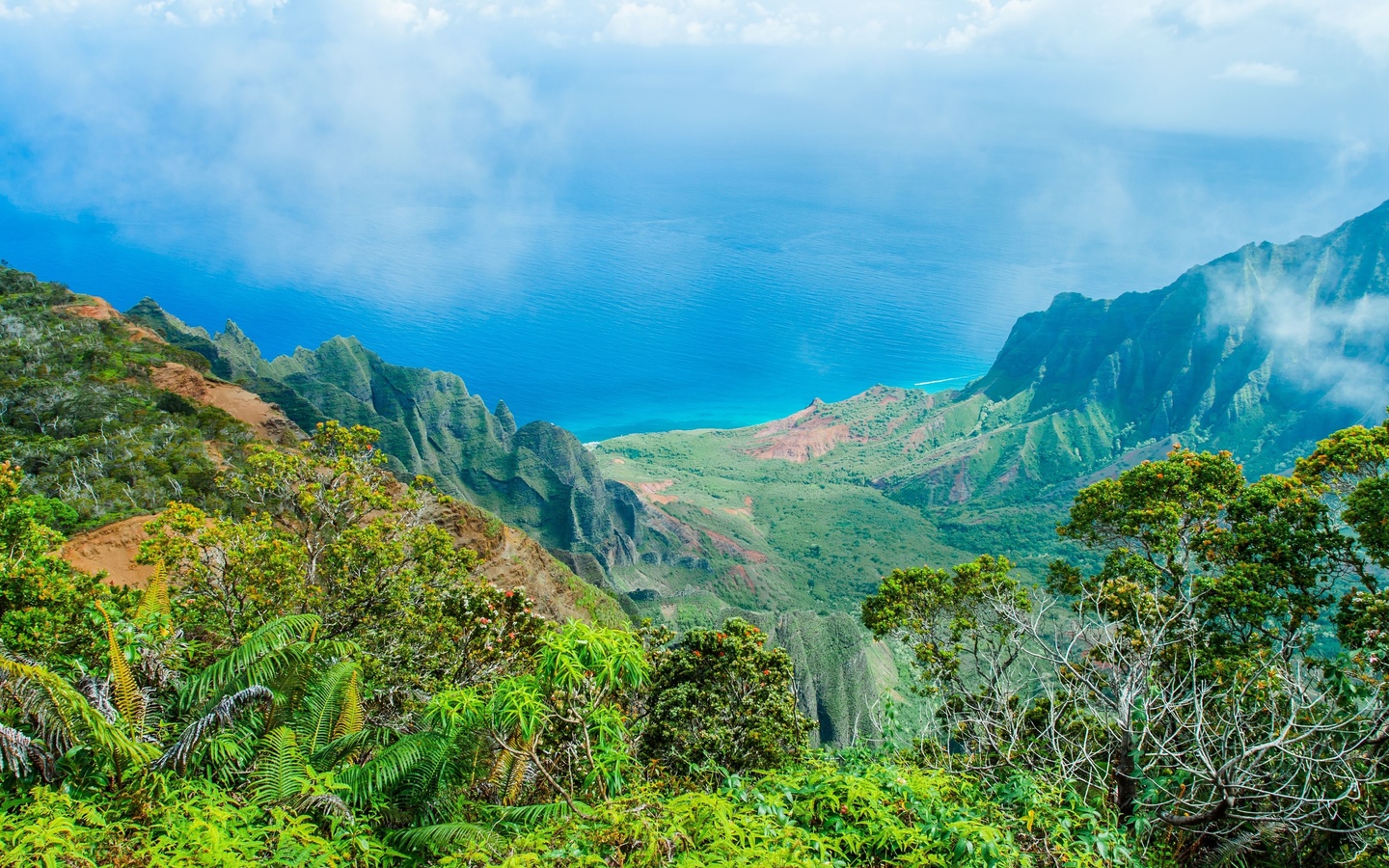 hawaii, ocean, 