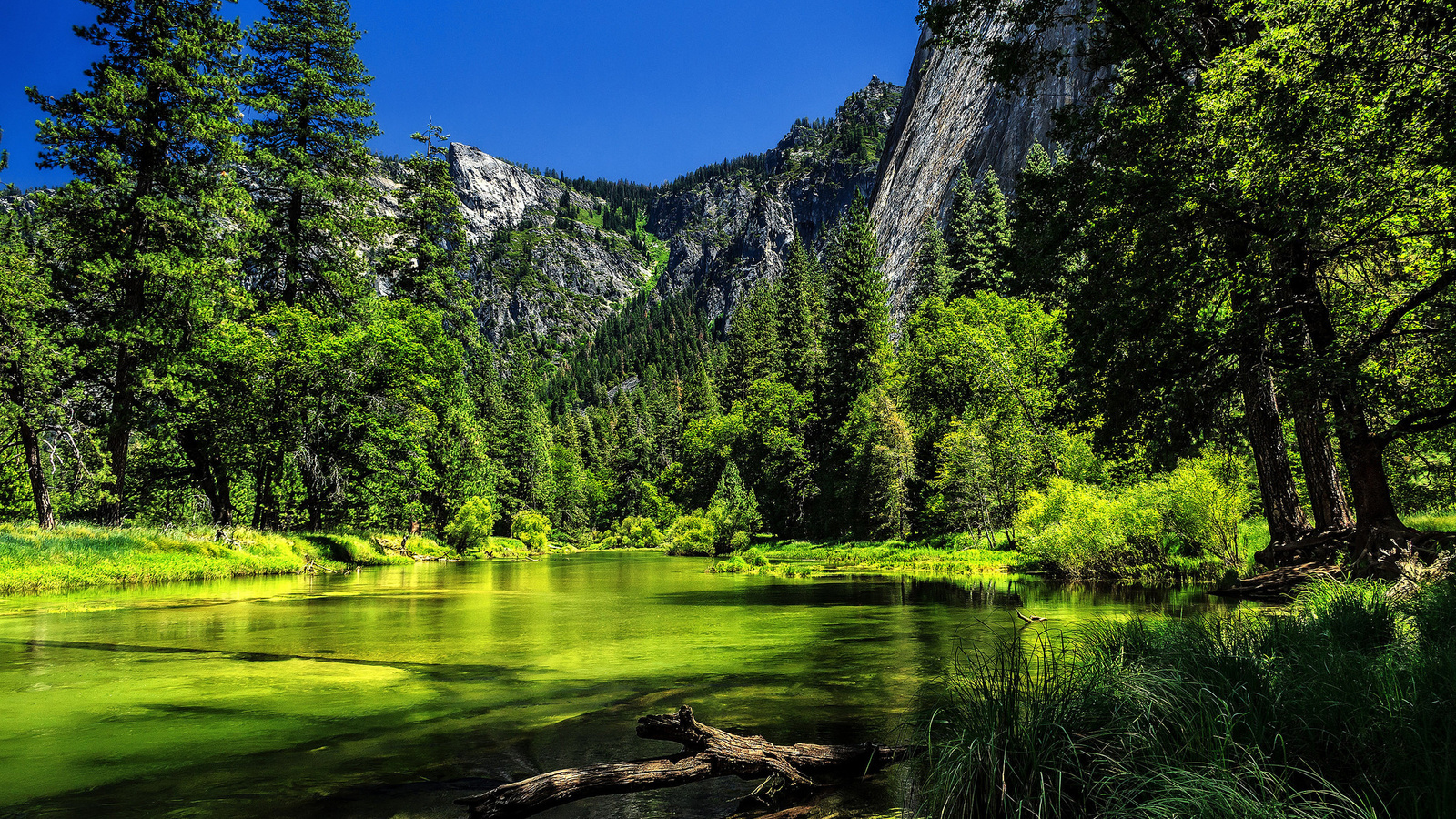 yosemite national park,  , , , 