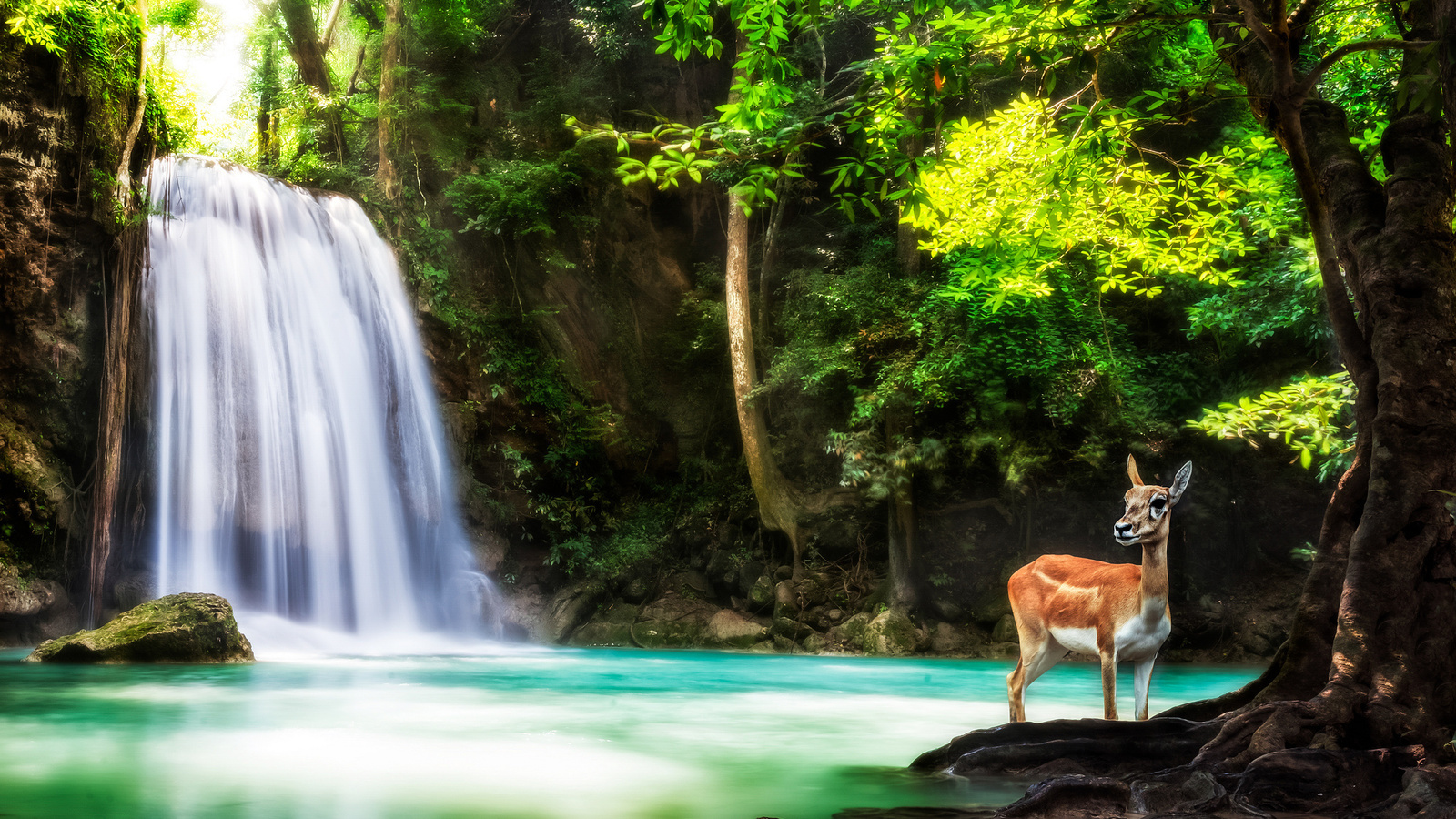 kanchanaburi, province, thailand, , , ,  , , erawan, , , , , , 