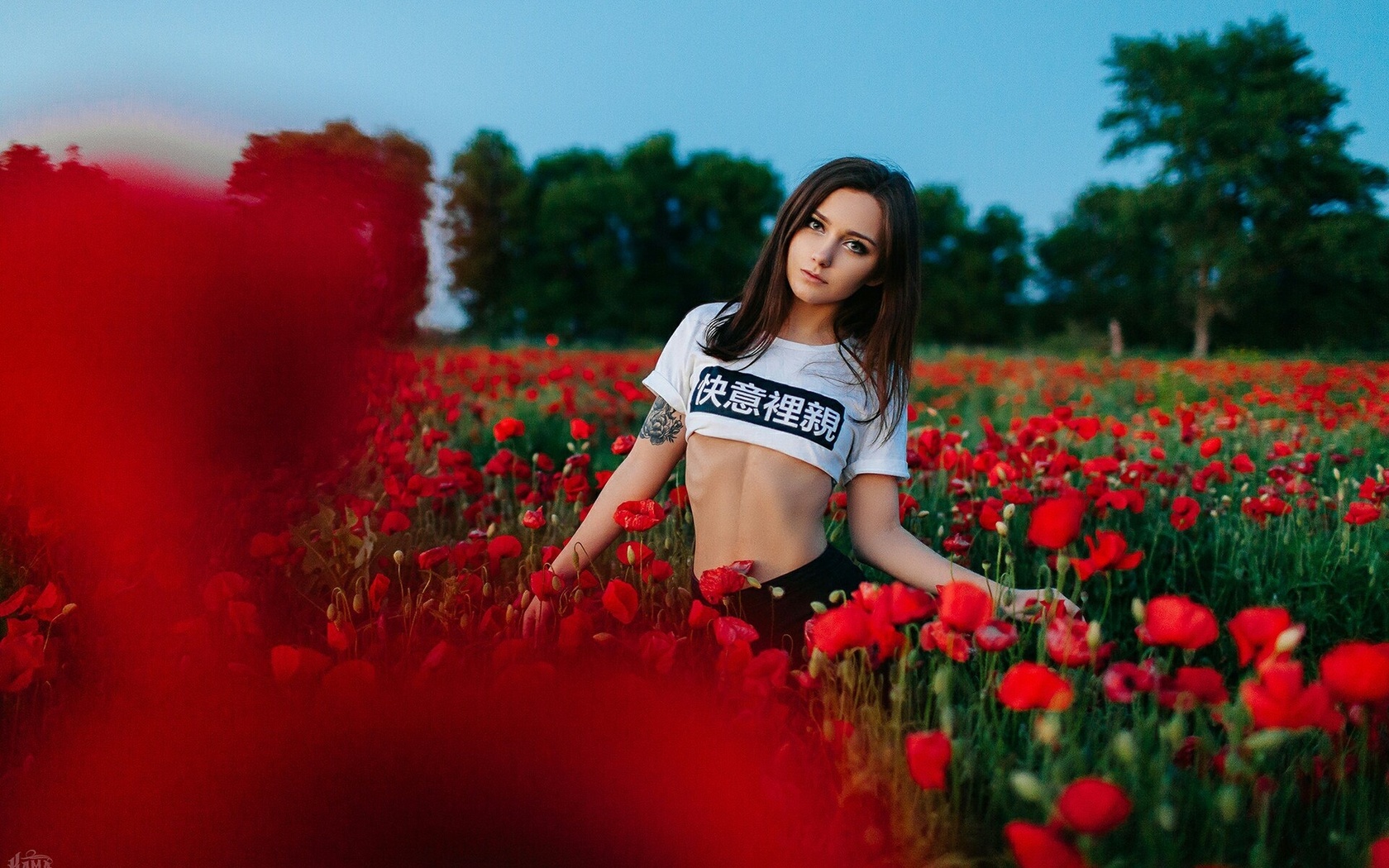 women, portrait, belly, t-shirt, women outdoors, tattoo, depth of field, flowers, , , , , ,   ,  , ,  , 