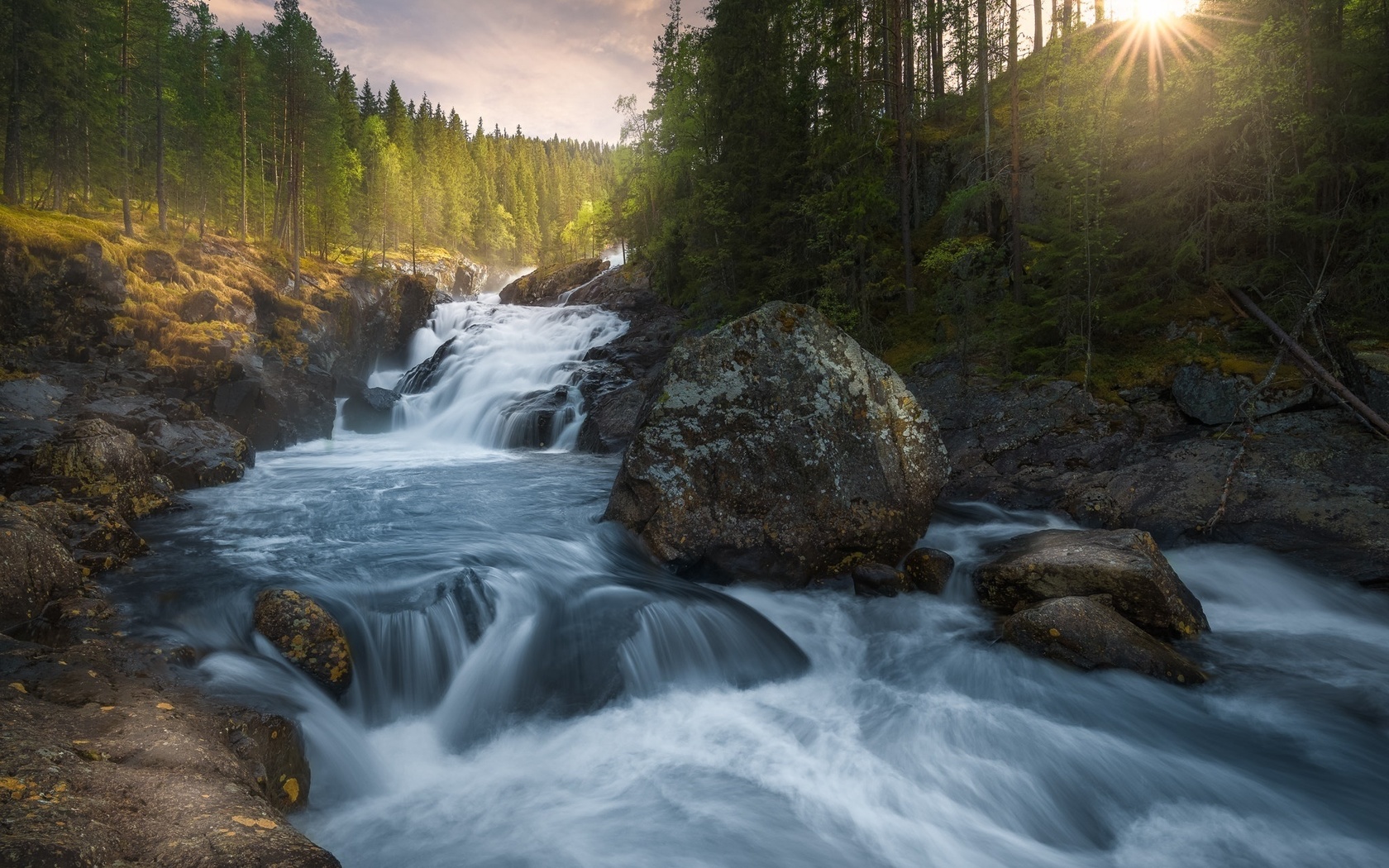 , , , ole henrik skjelstad, , , , , 