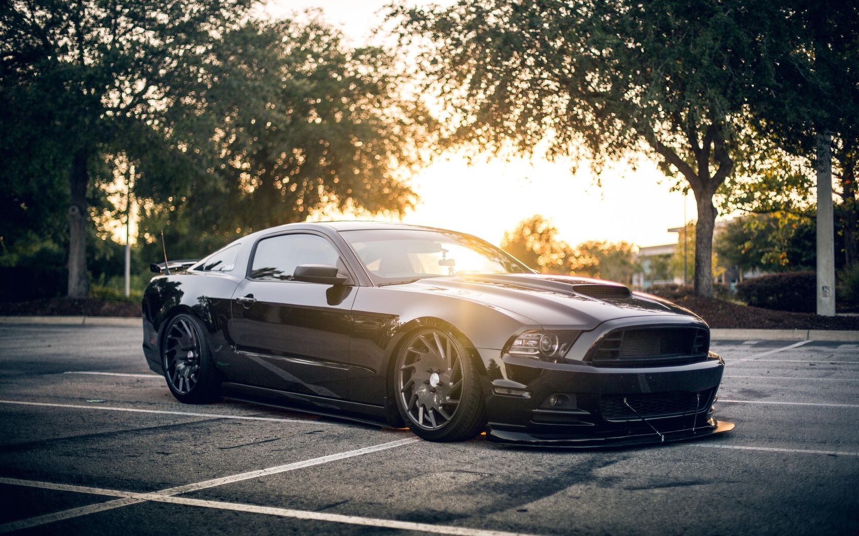 ford, mustang, shelby, black