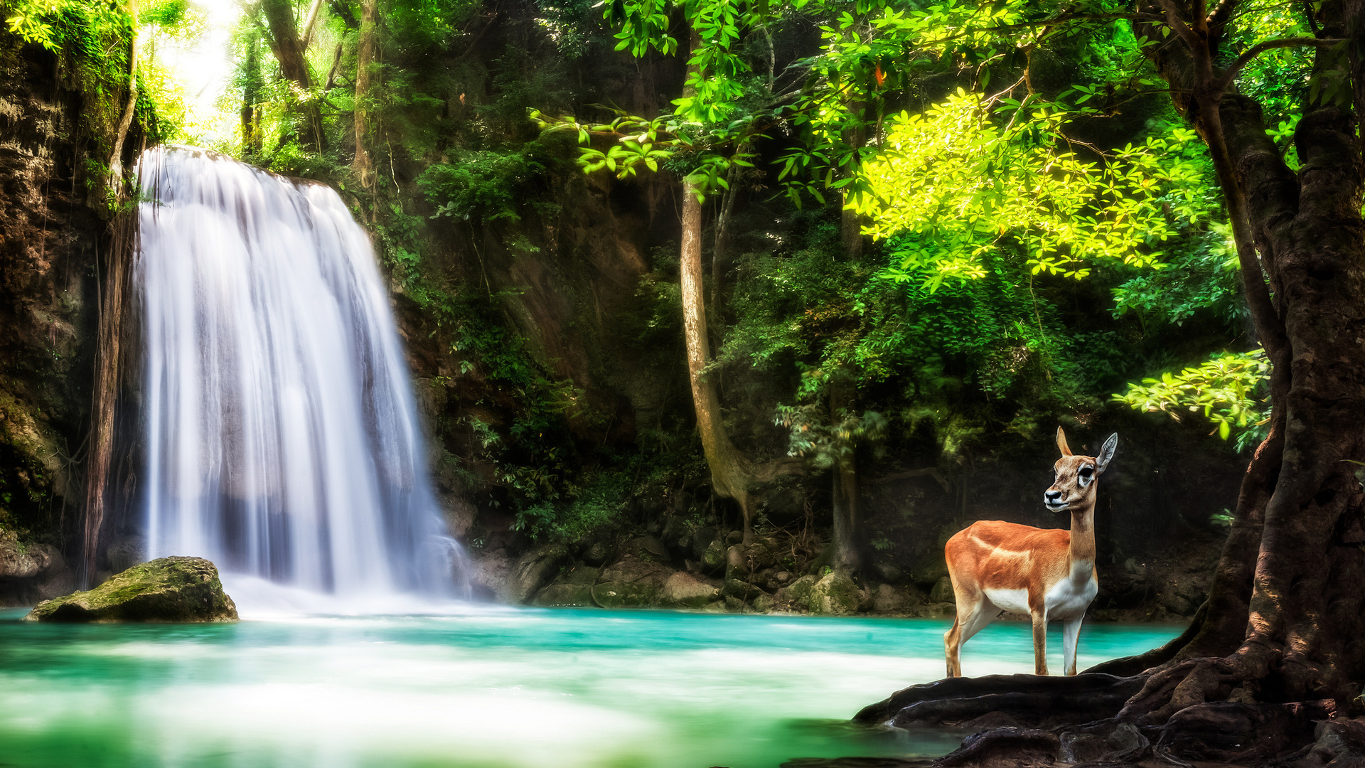 kanchanaburi, province, thailand, , , ,  , , erawan, , , , , , 