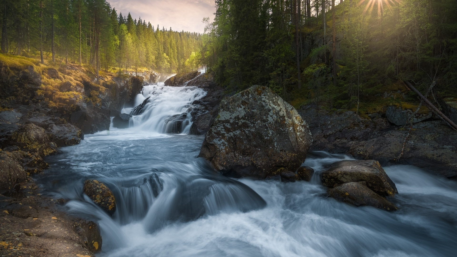 , , , ole henrik skjelstad, , , , , 