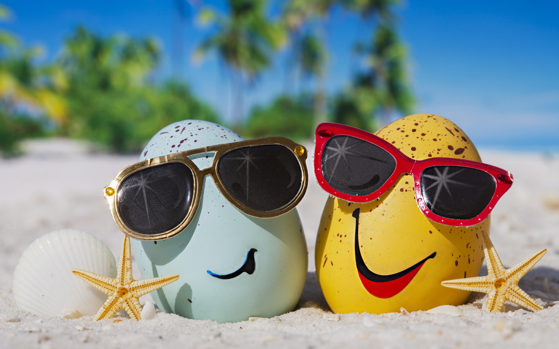 summer, happy, beach, eggs, funny, glasses, cute, tropical, , , 