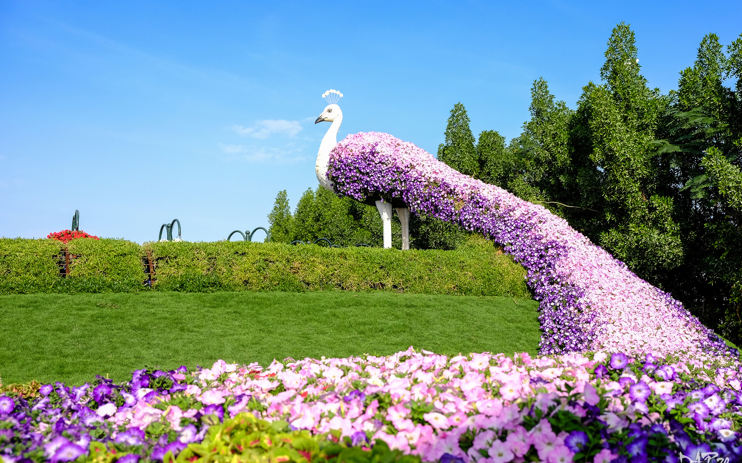 , , , , , , , , miracle garden, , , 