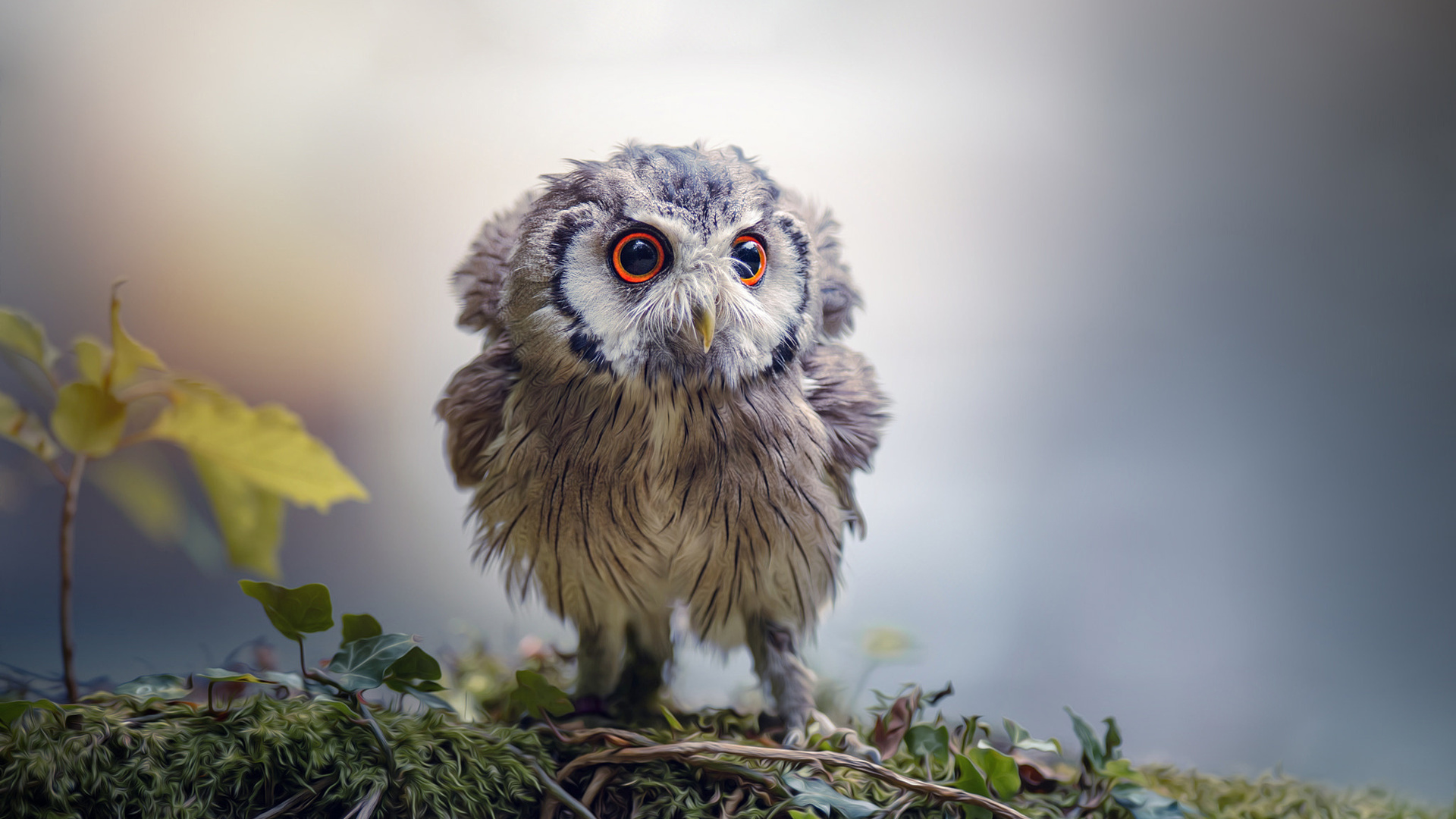 tanja brandt,  , , , , , 