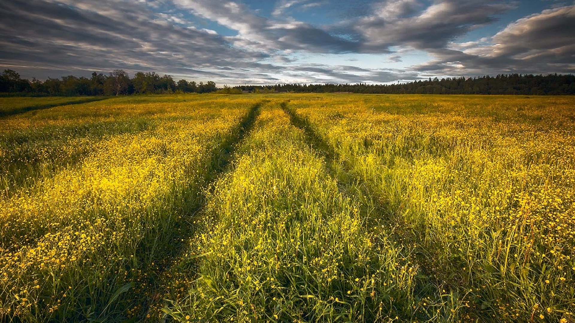 Полярный день картинки