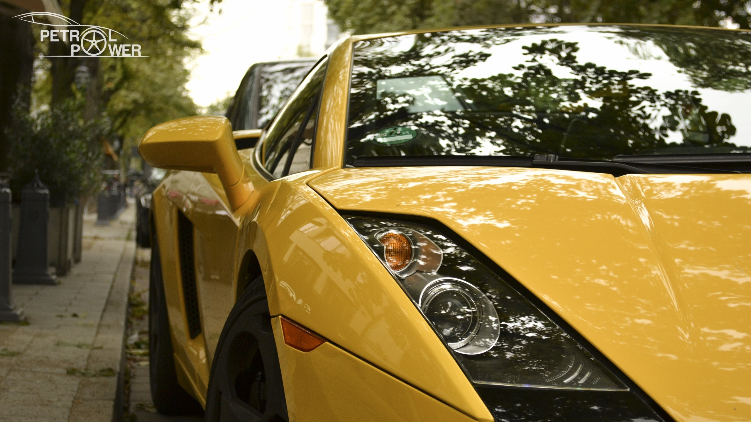 lamborghini, gallardo, 