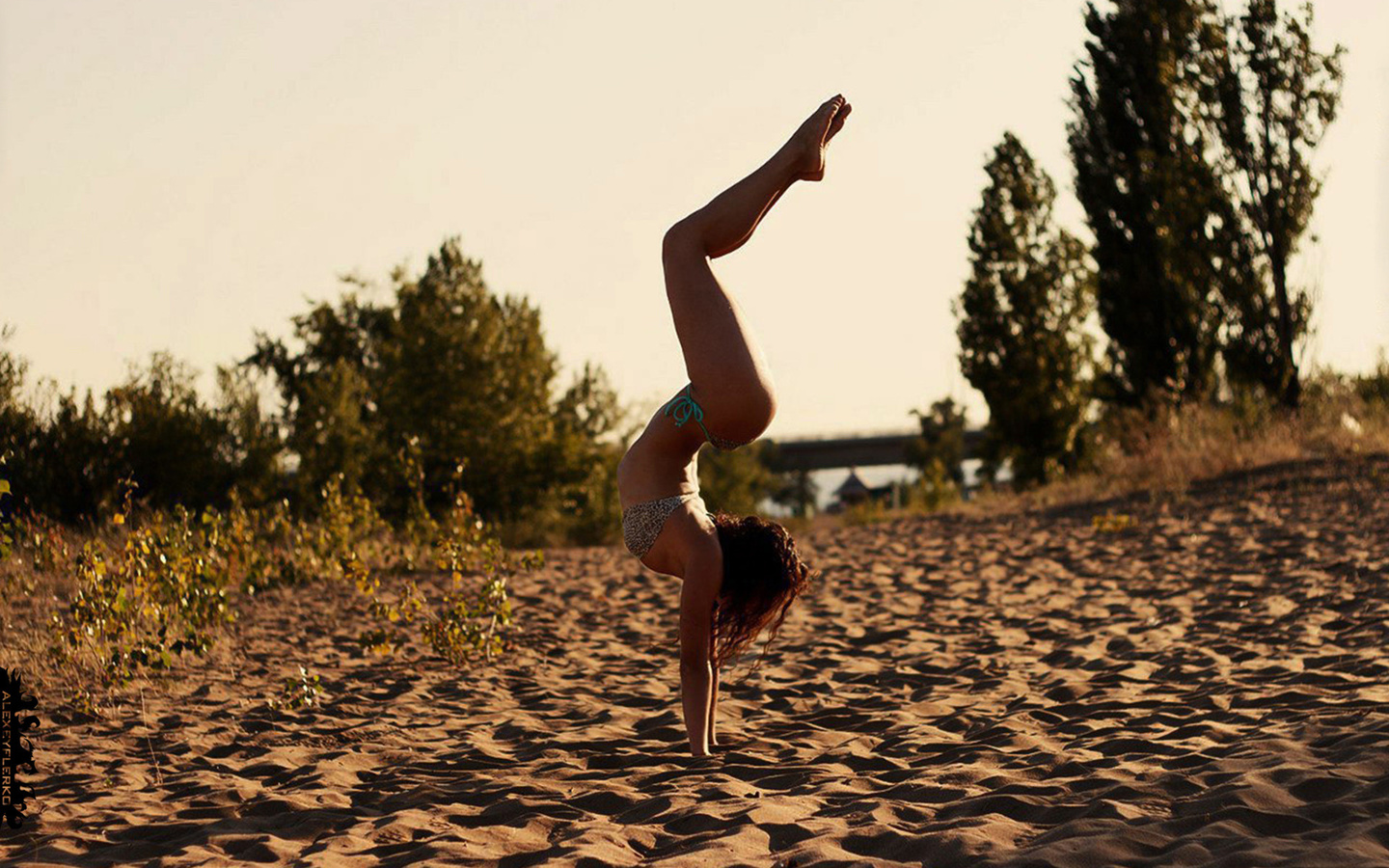 Topless Handstand