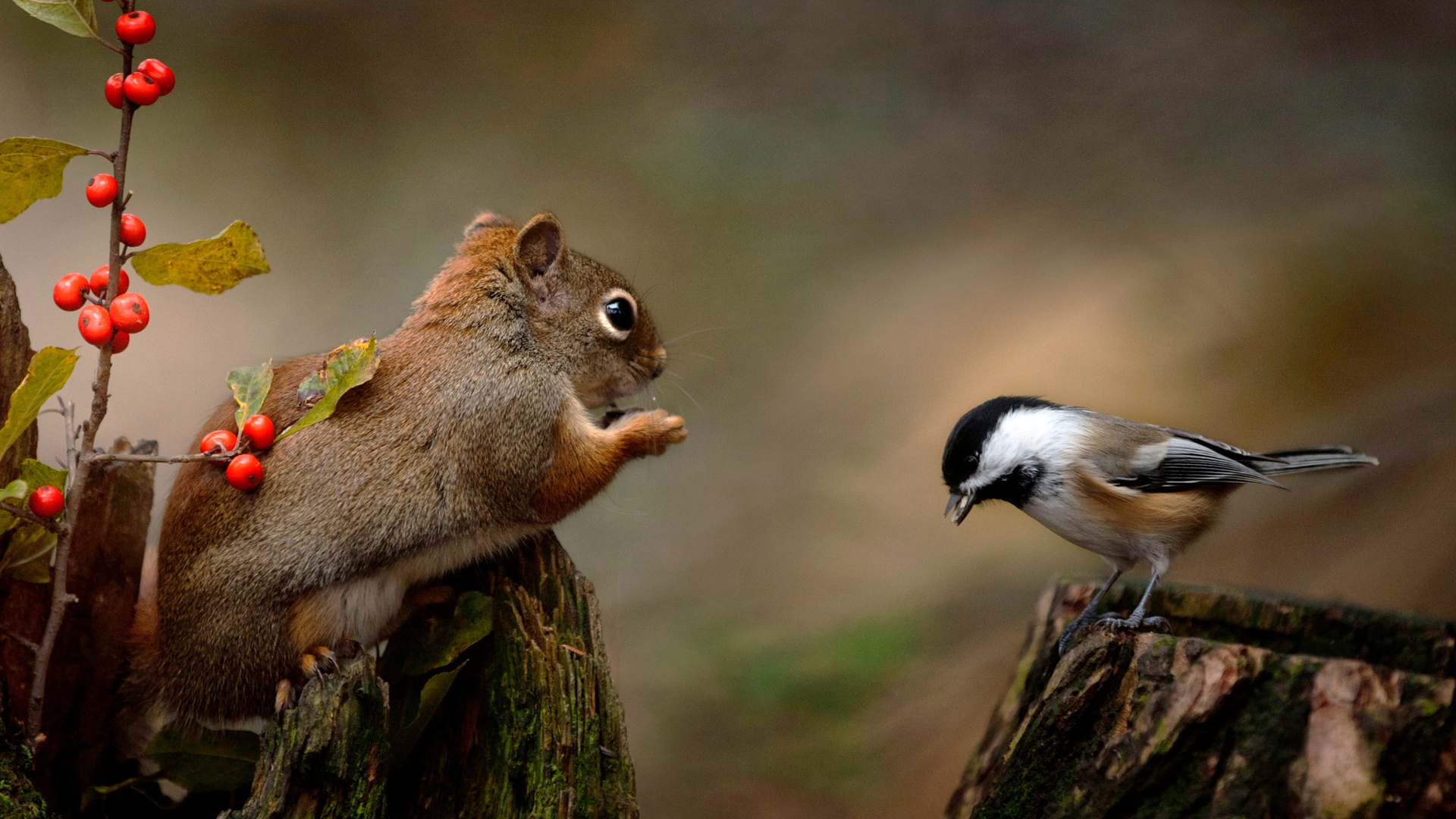 andre villeneuve, , , , , , , , , 