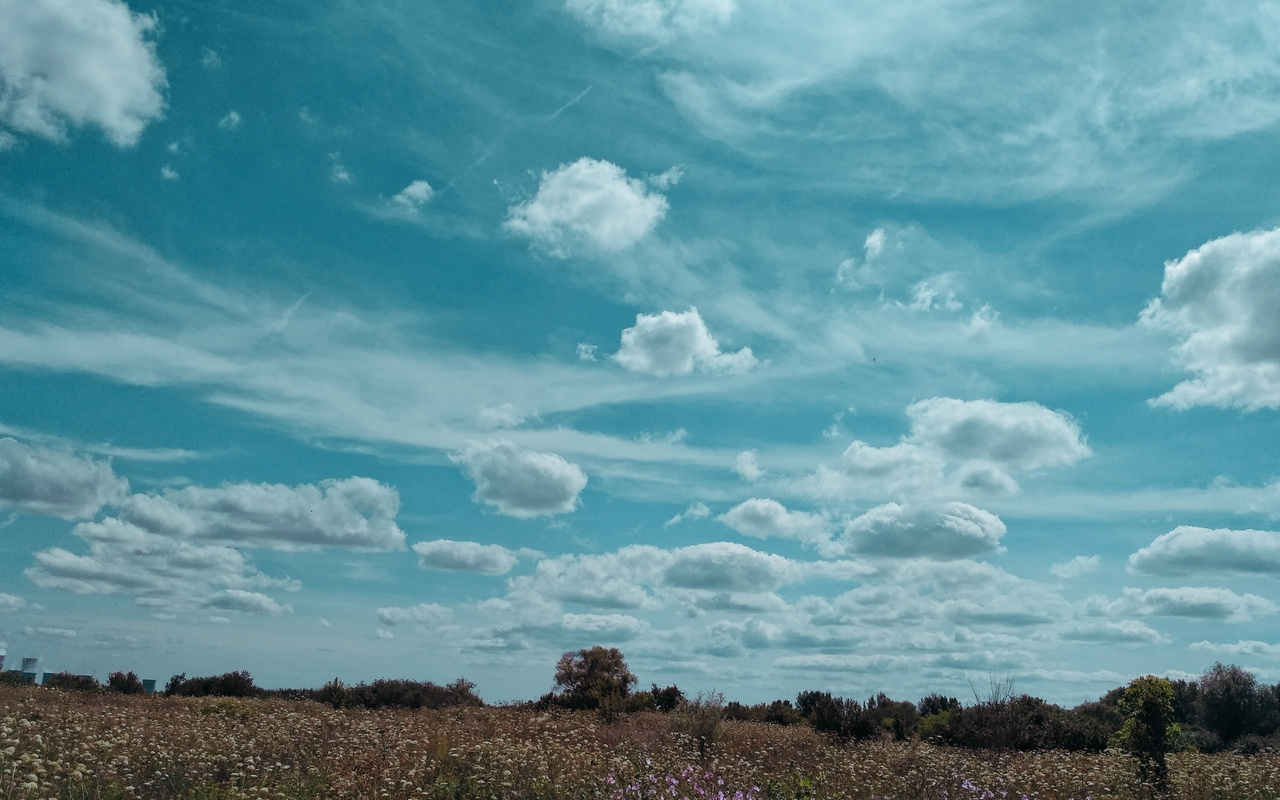 , , , , , , sun, sunset, nature, beautiful, orange, , , flower, , sky, , cloud