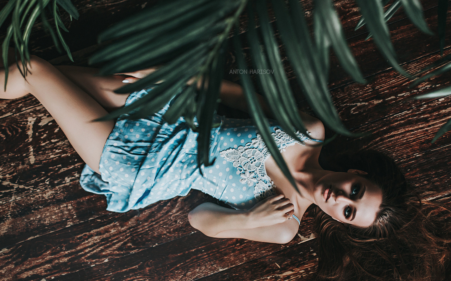 women, top view, dress, portrait, wooden surface, lying on back, on the floor, anton harisov, fotoshi toshi, brunette