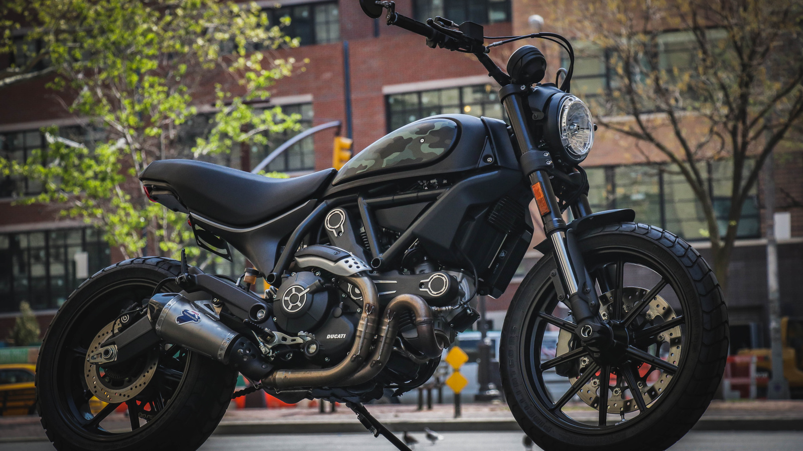 stealth tracker, custom, scrambler, ducati, 803, 