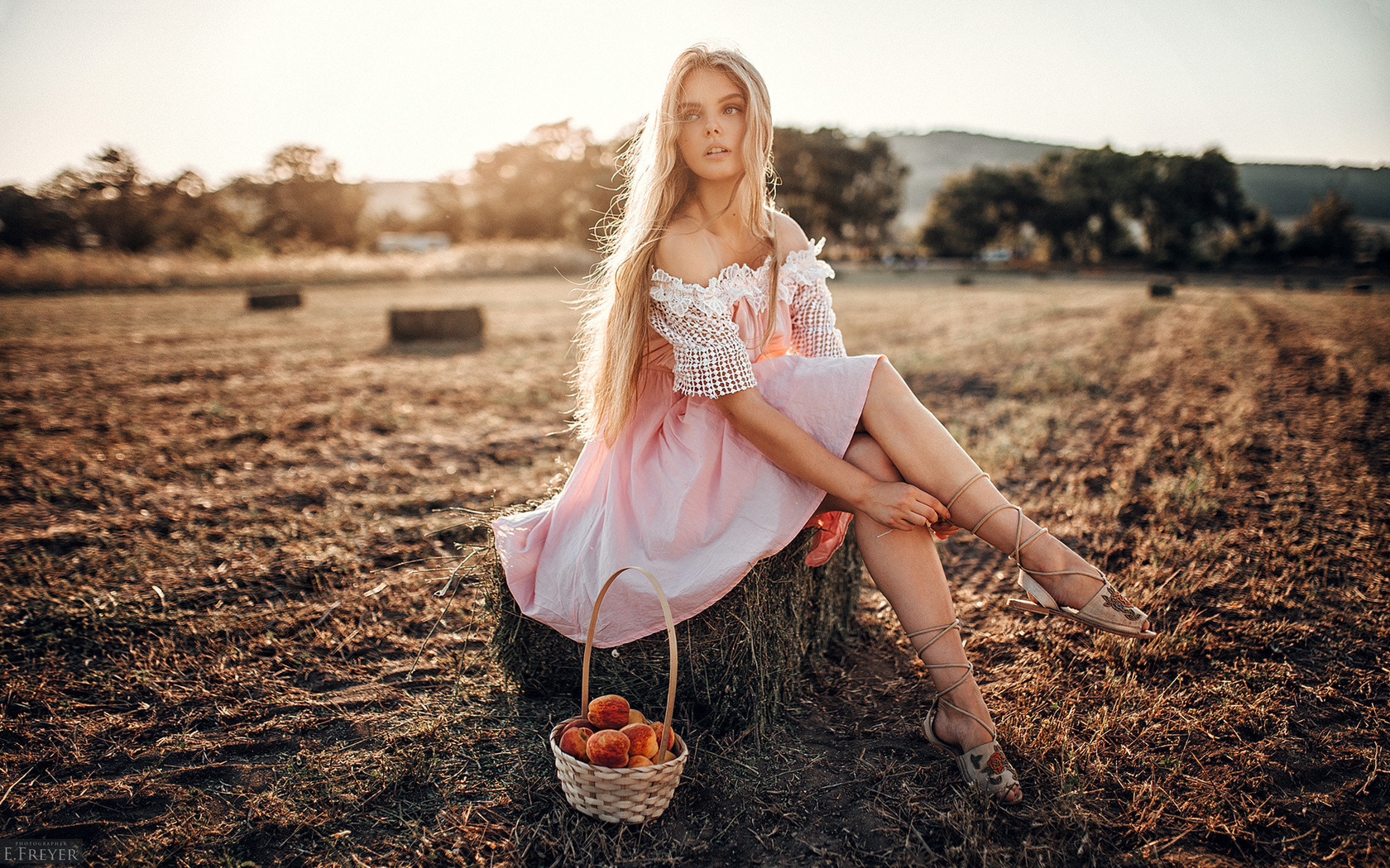 , , , , evgeny freyer,  , , , , , 