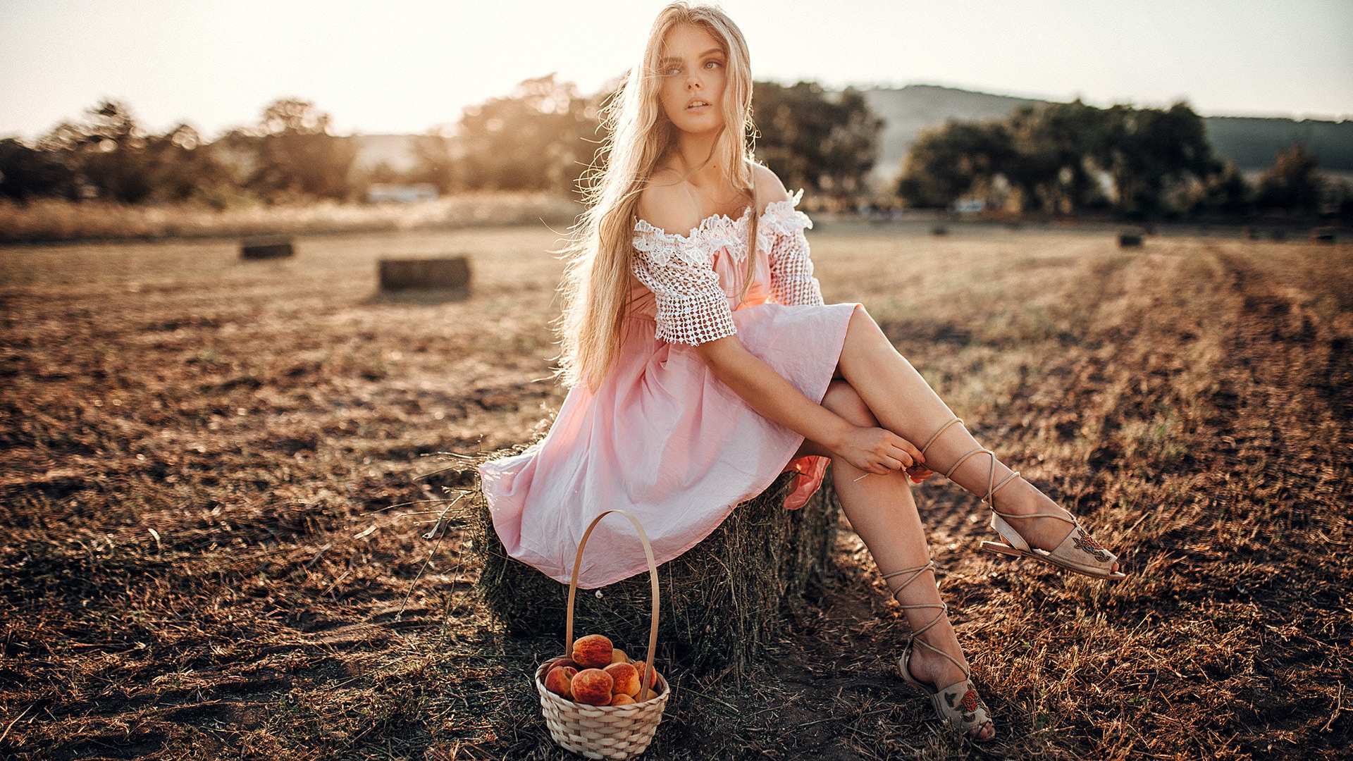 , , , , evgeny freyer,  , , , , , 