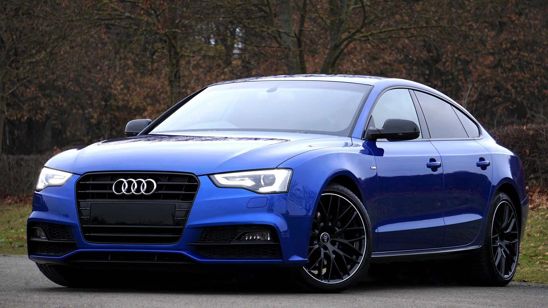 audi, a5, ,  