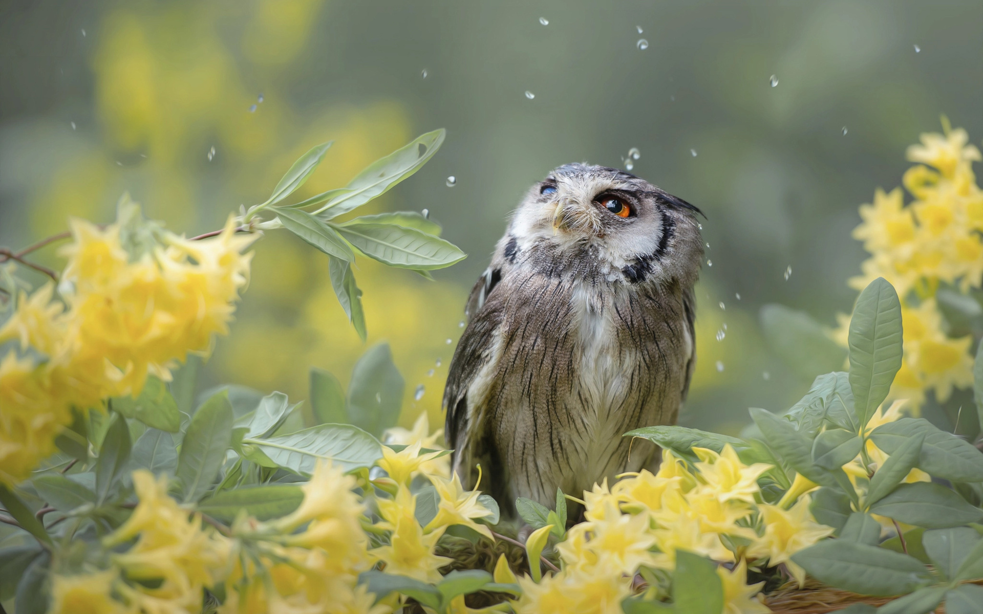 tanja brandt,  , , , , , , , 