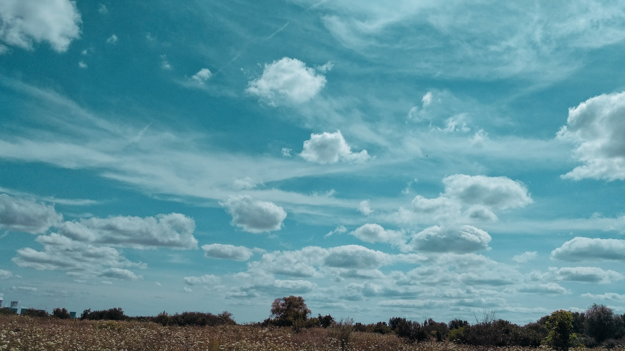 , , , , , , sun, sunset, nature, beautiful, orange, , , flower, , sky, , cloud