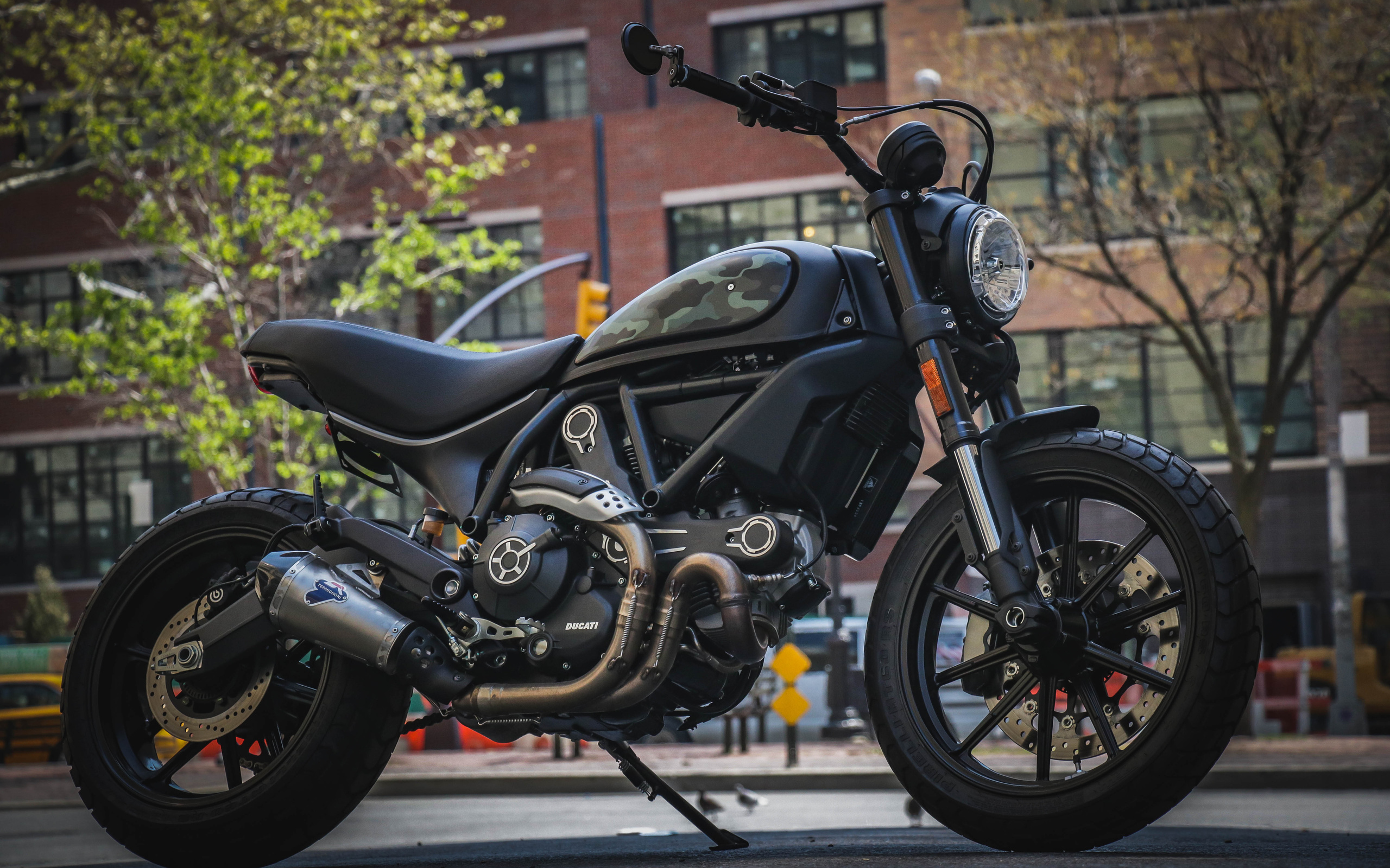 stealth tracker, custom, scrambler, ducati, 803, 