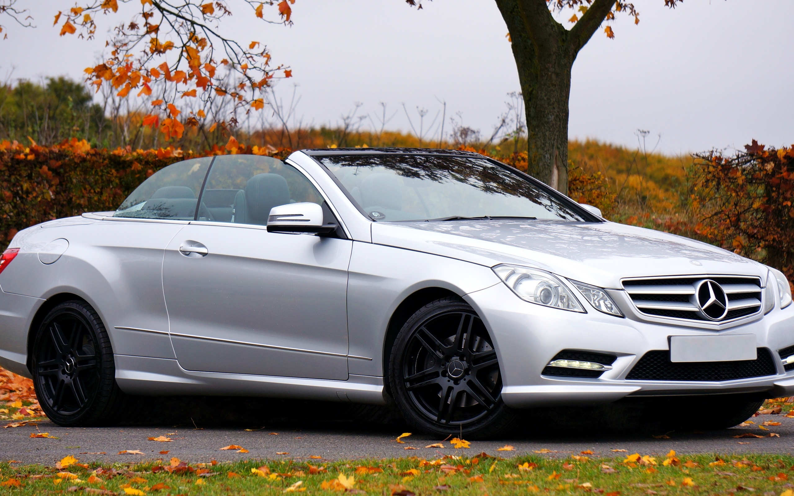 mercedes, e-class, ,  , 