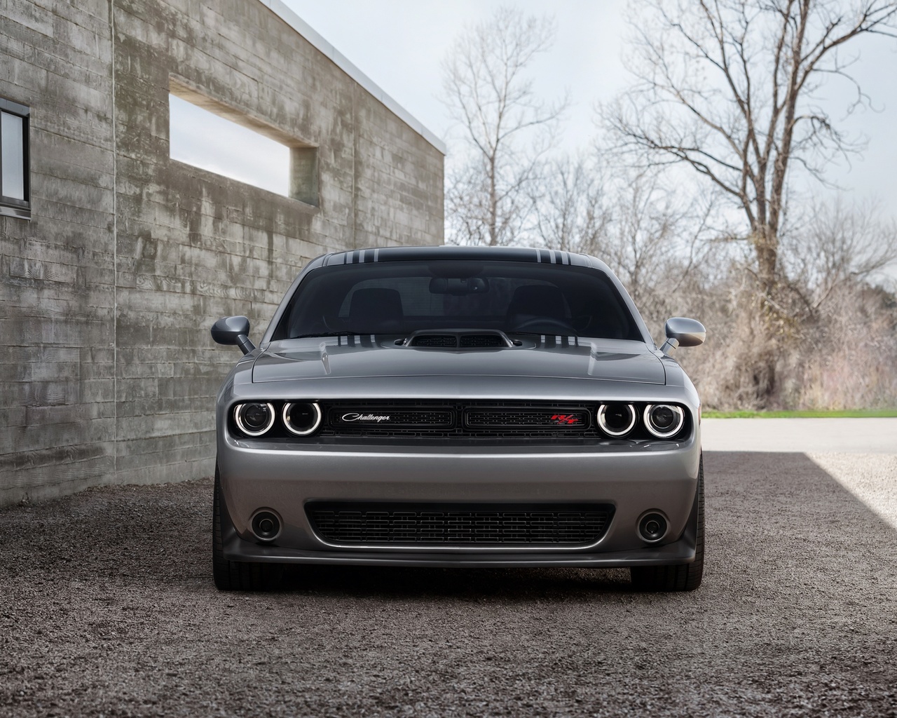 dodge, challenger, 392 hemi, scat pack