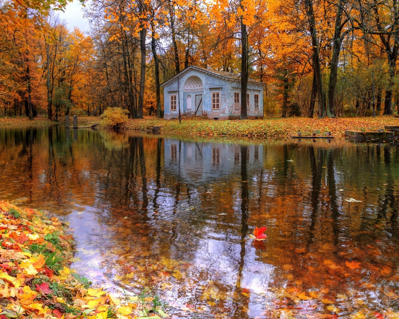 Картинки царское село, осень, санкт-петербург, октябрь, фотограф гордеев  эдуард, вода, природа, дома, деревья - обои 1280x1024, картинка №251043