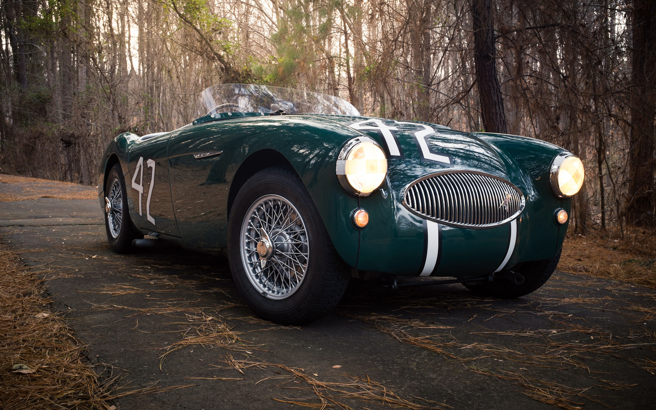 austin healey, 100s, , , 