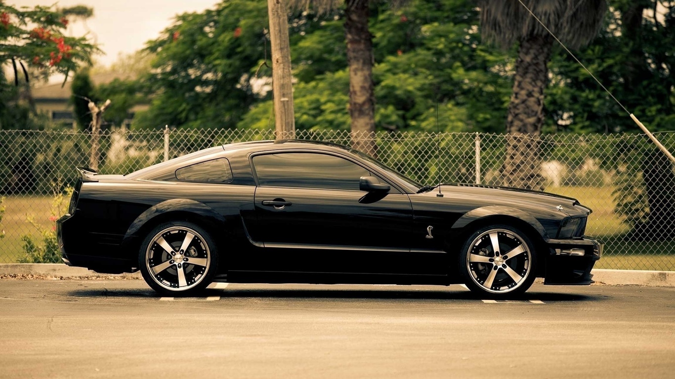 forg, mustang, black, 