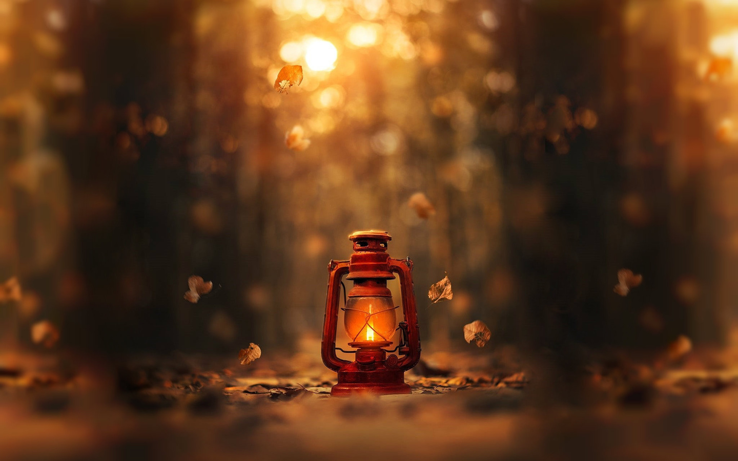 ashraful arefin, , , , 