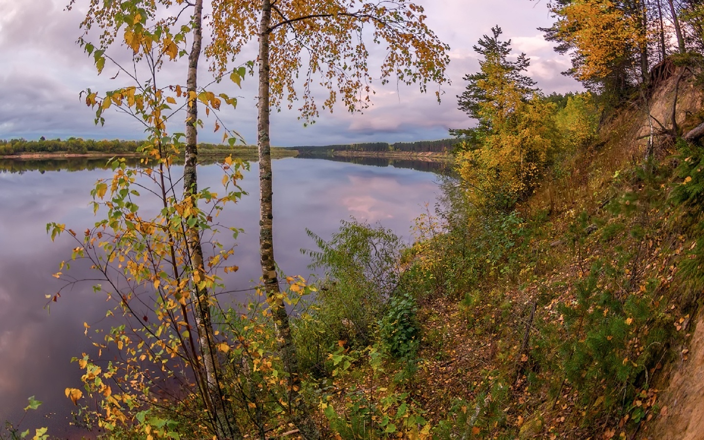 Осенние Березки и река Карелии