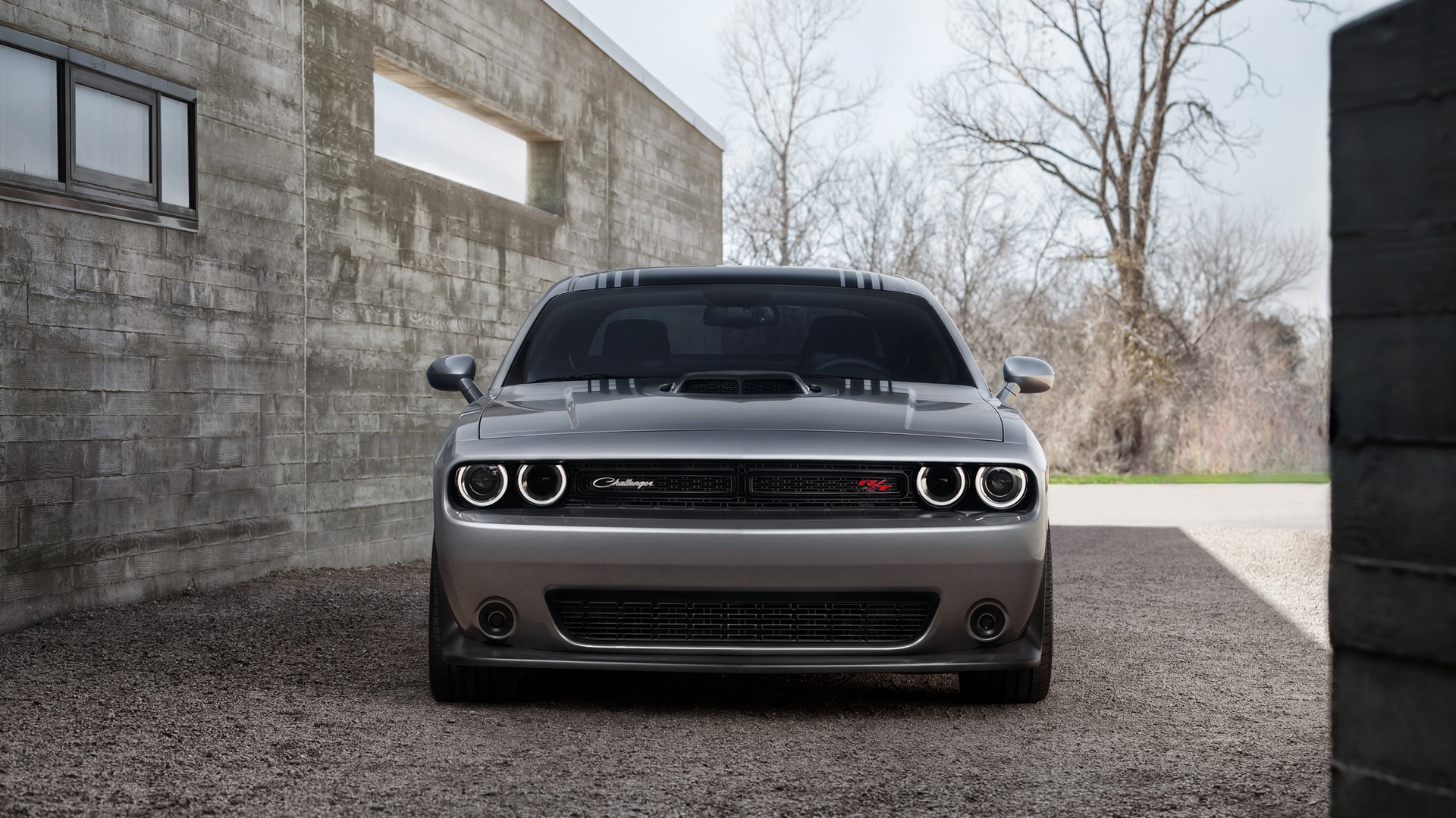 dodge, challenger, 392 hemi, scat pack