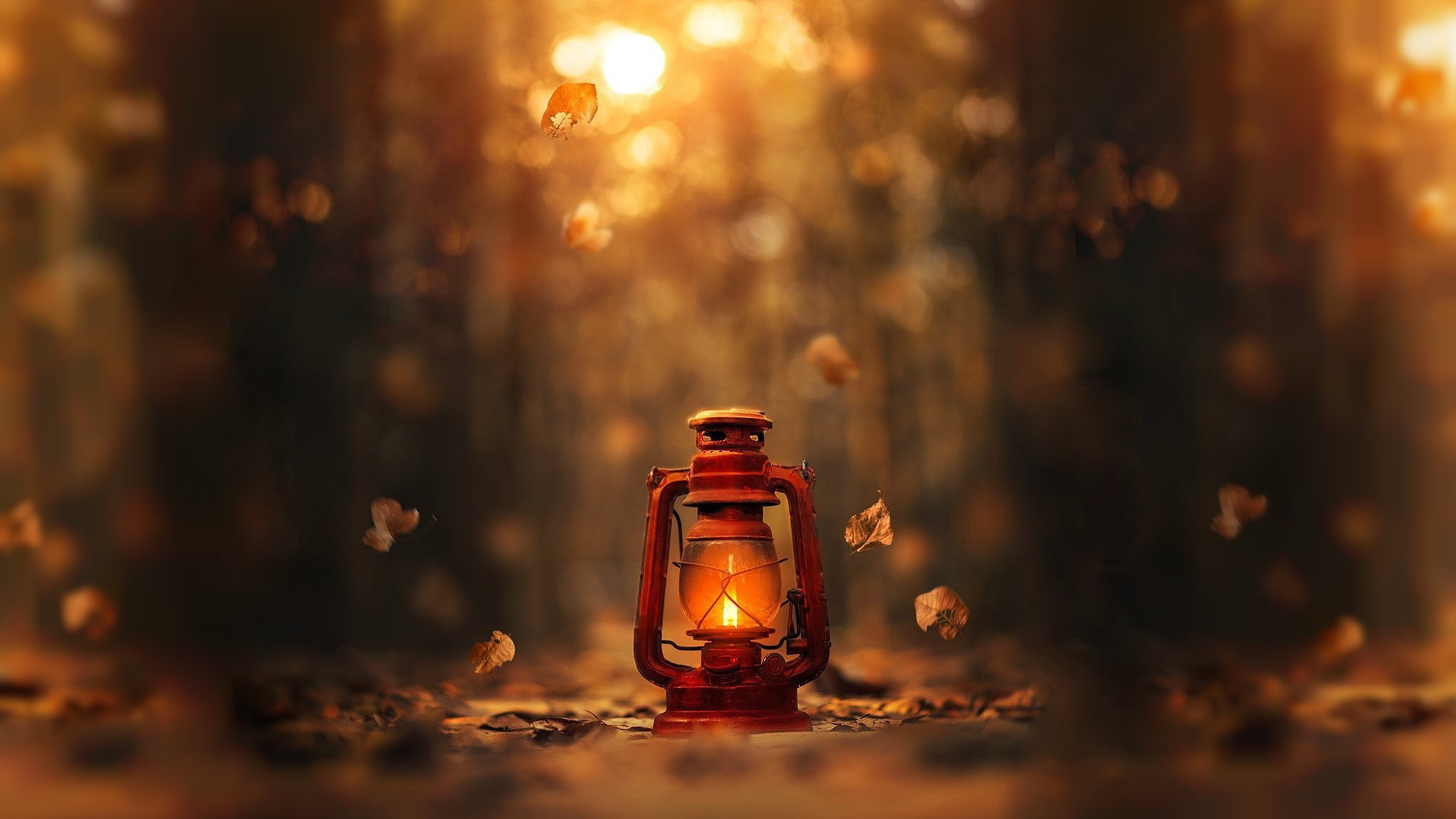 ashraful arefin, , , , 