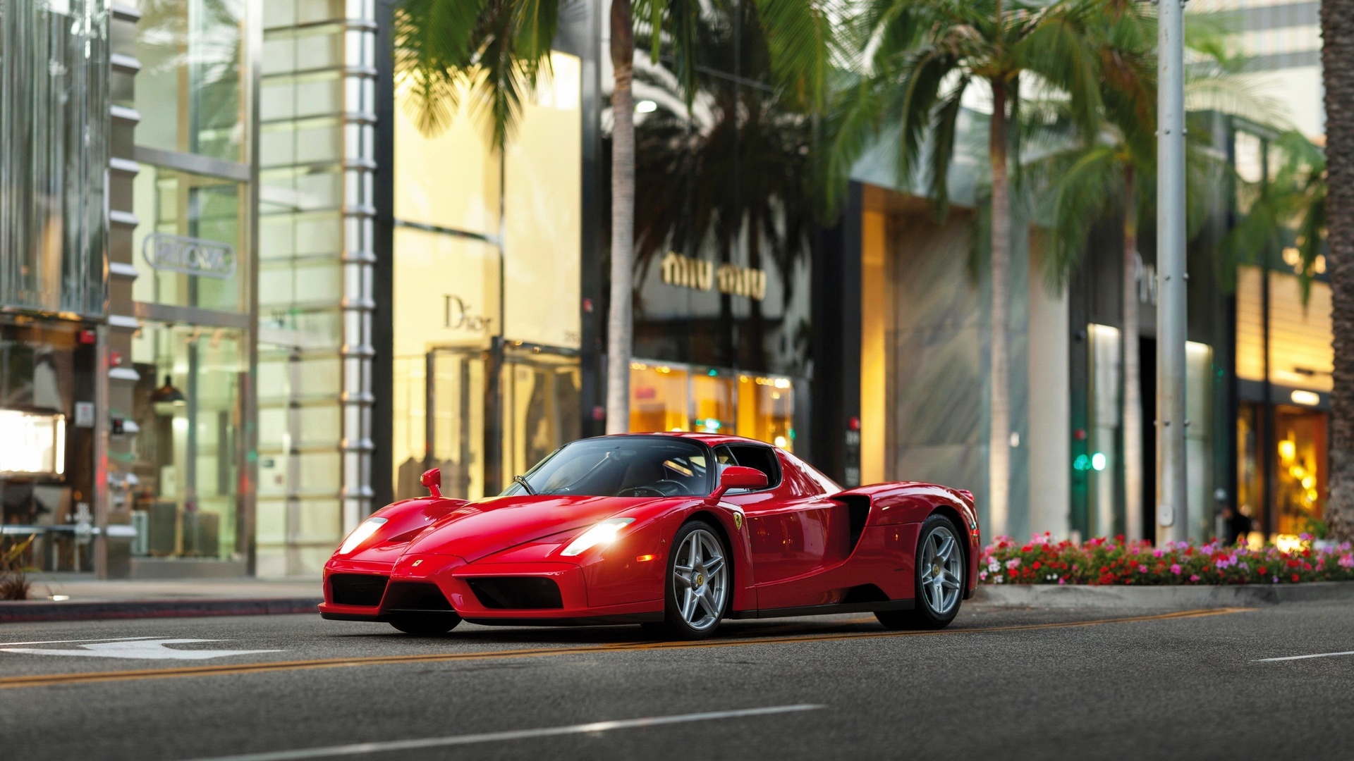 ferrari, enzo, , 