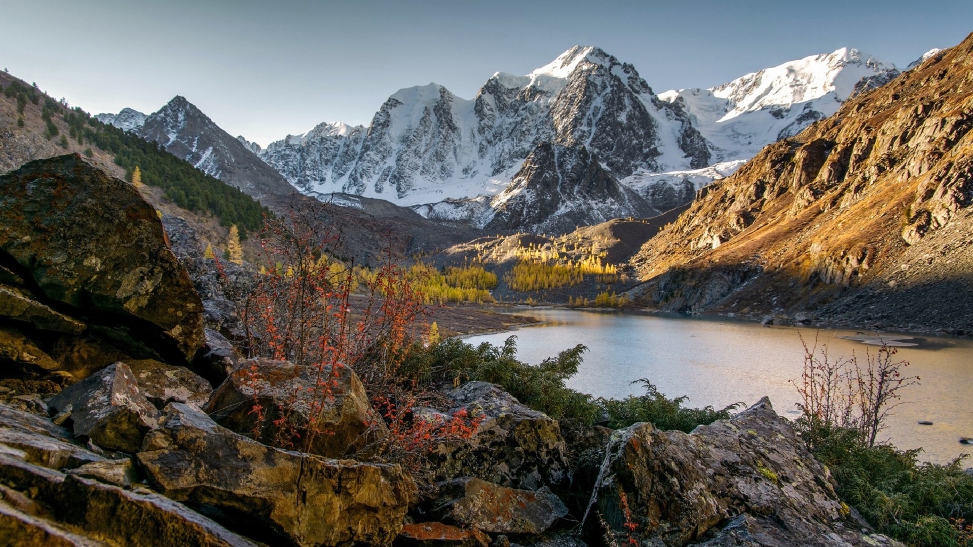 Фото алтай осенью