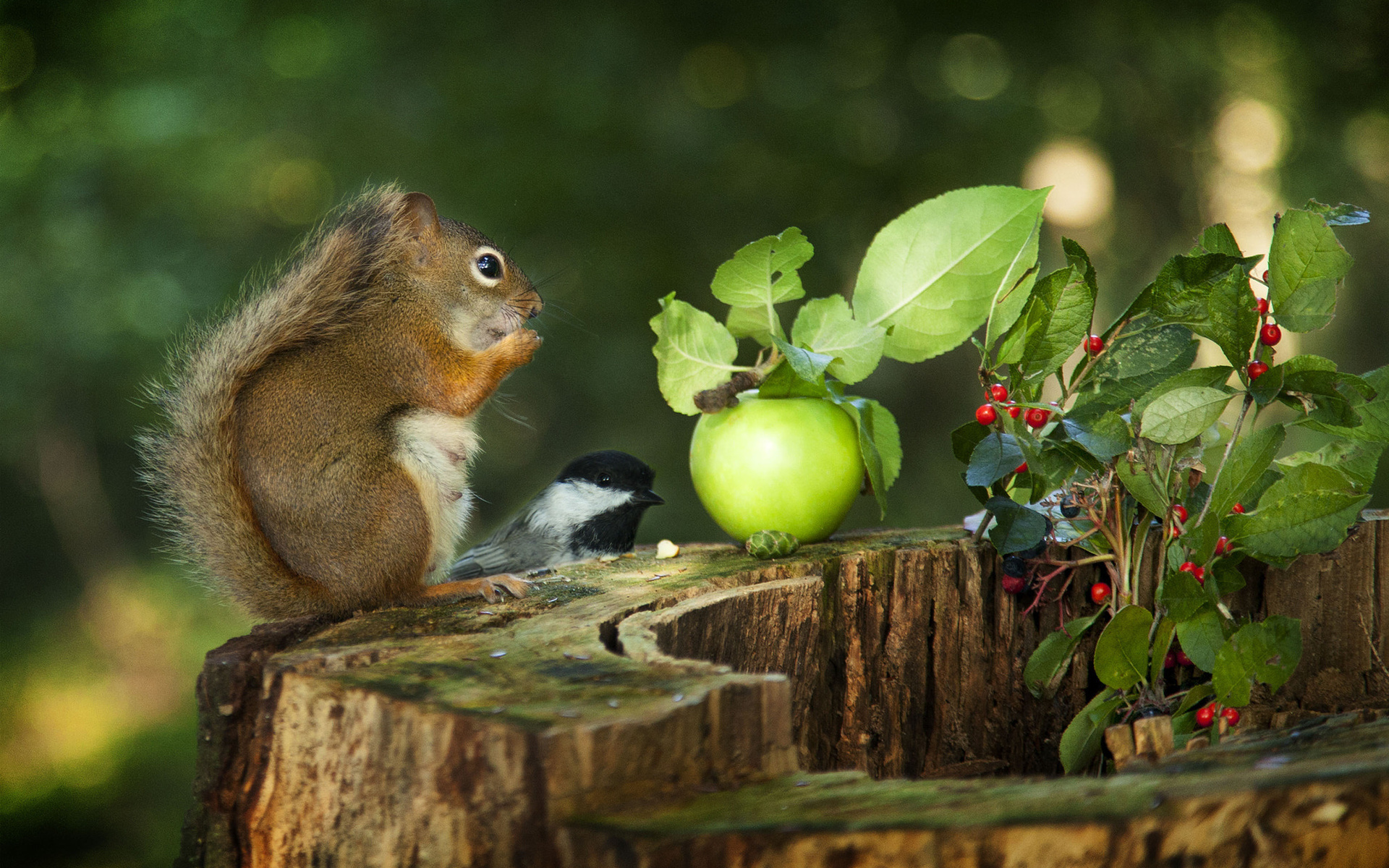 andre villeneuve, , , , , , , , , , , 