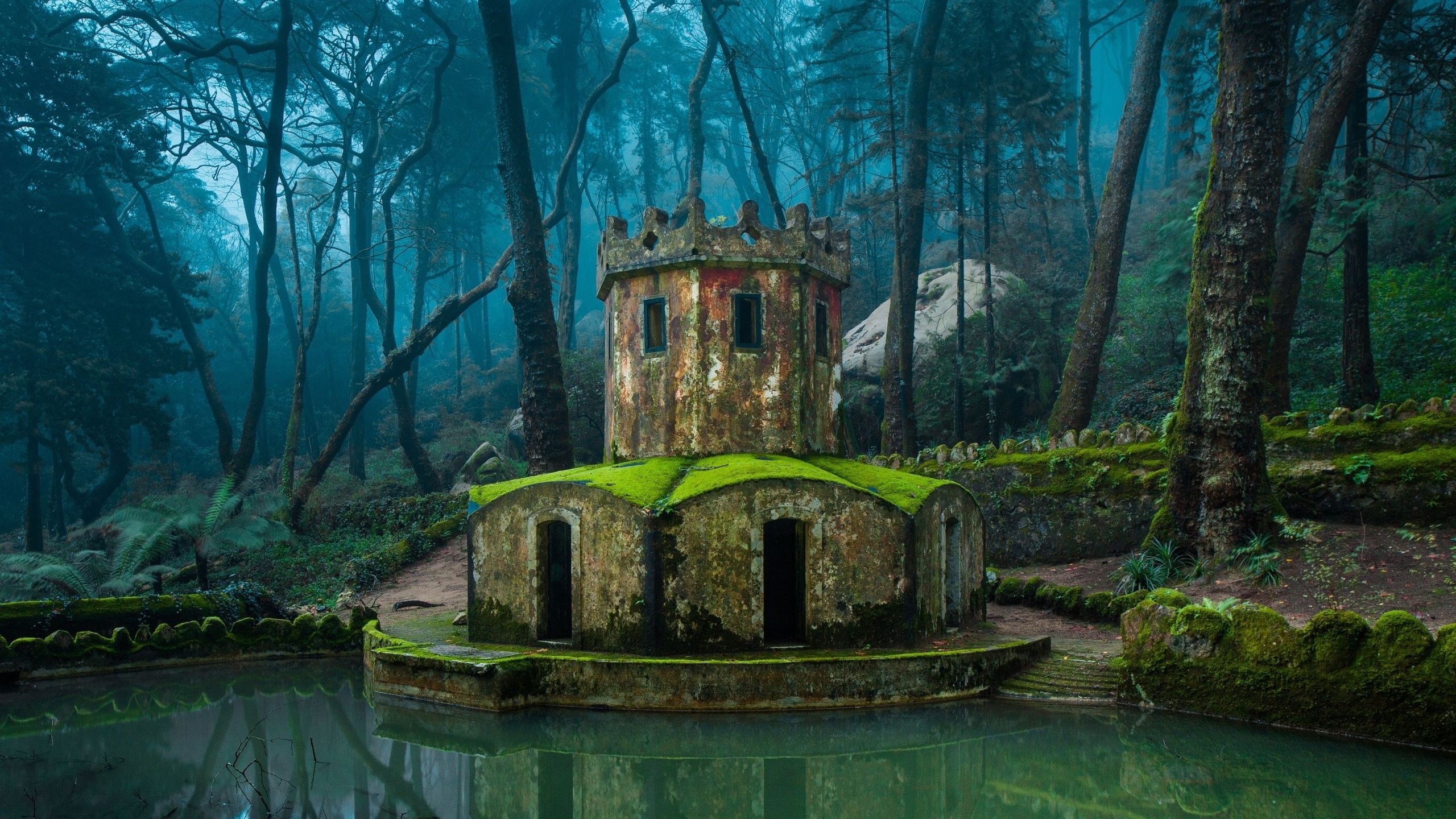 Картинки природа архитектура лес старое здание озеро башня мох обои x картинка