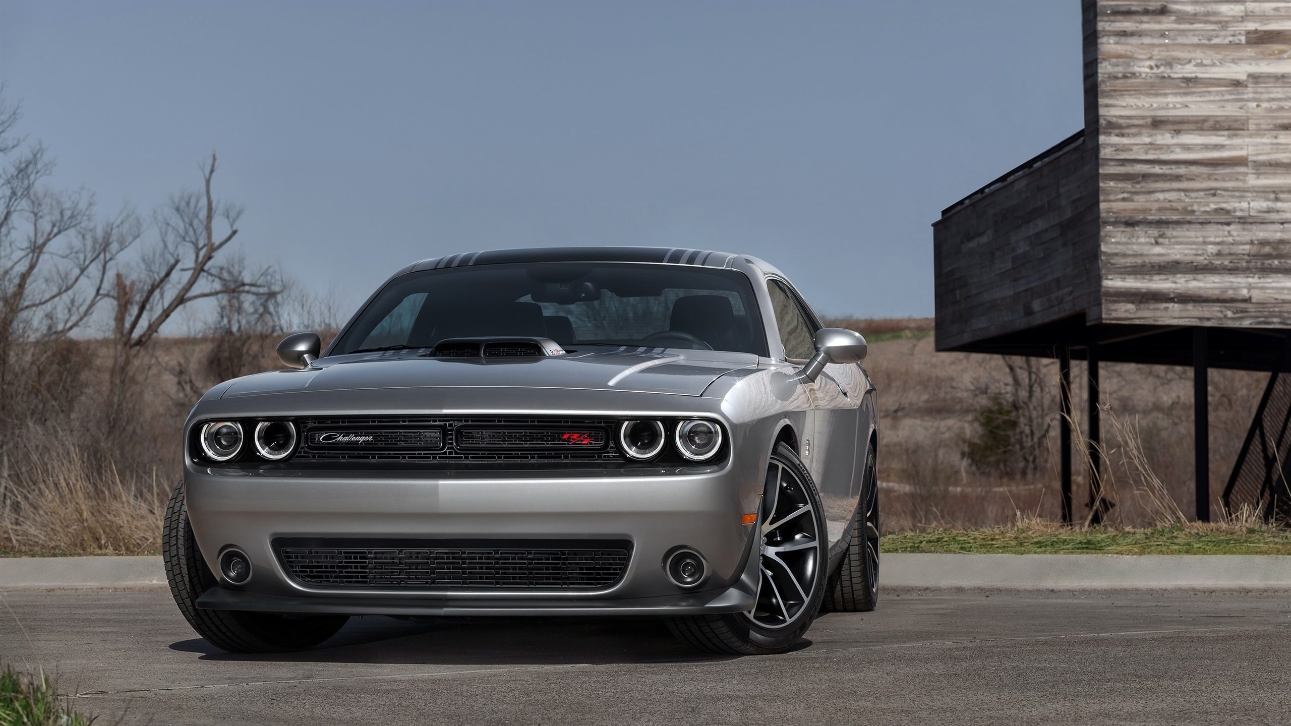 dodge, challenger, 392 hemi, scat pack