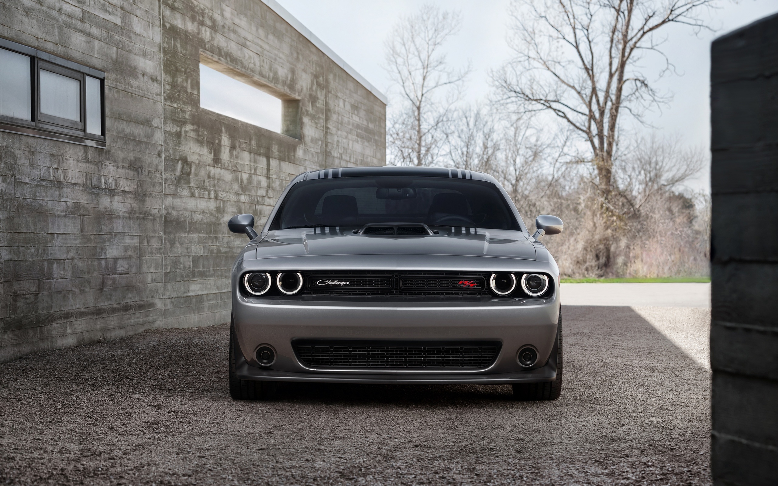 dodge, challenger, 392 hemi, scat pack